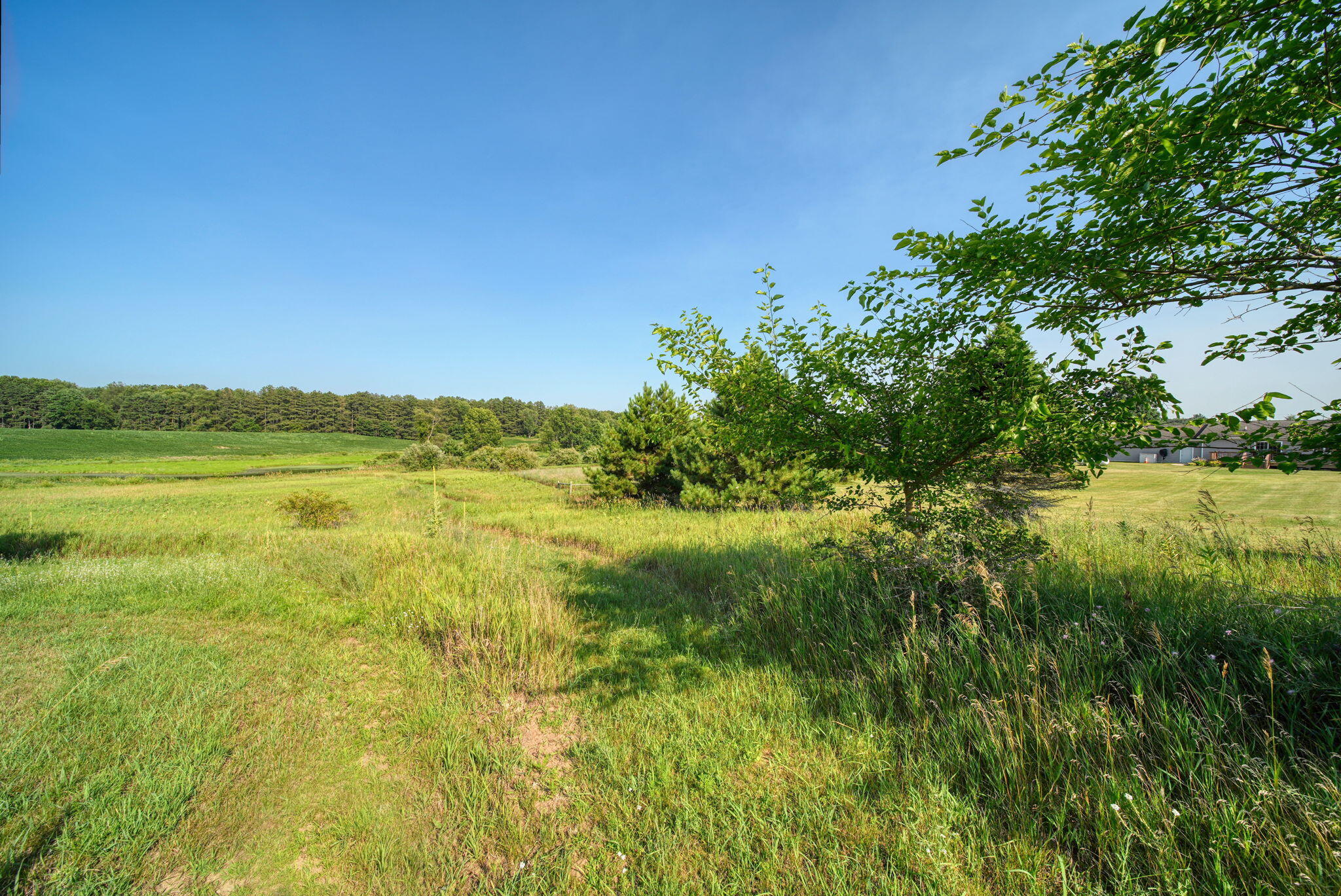 11329 Rosemary Lane Property Photo 59
