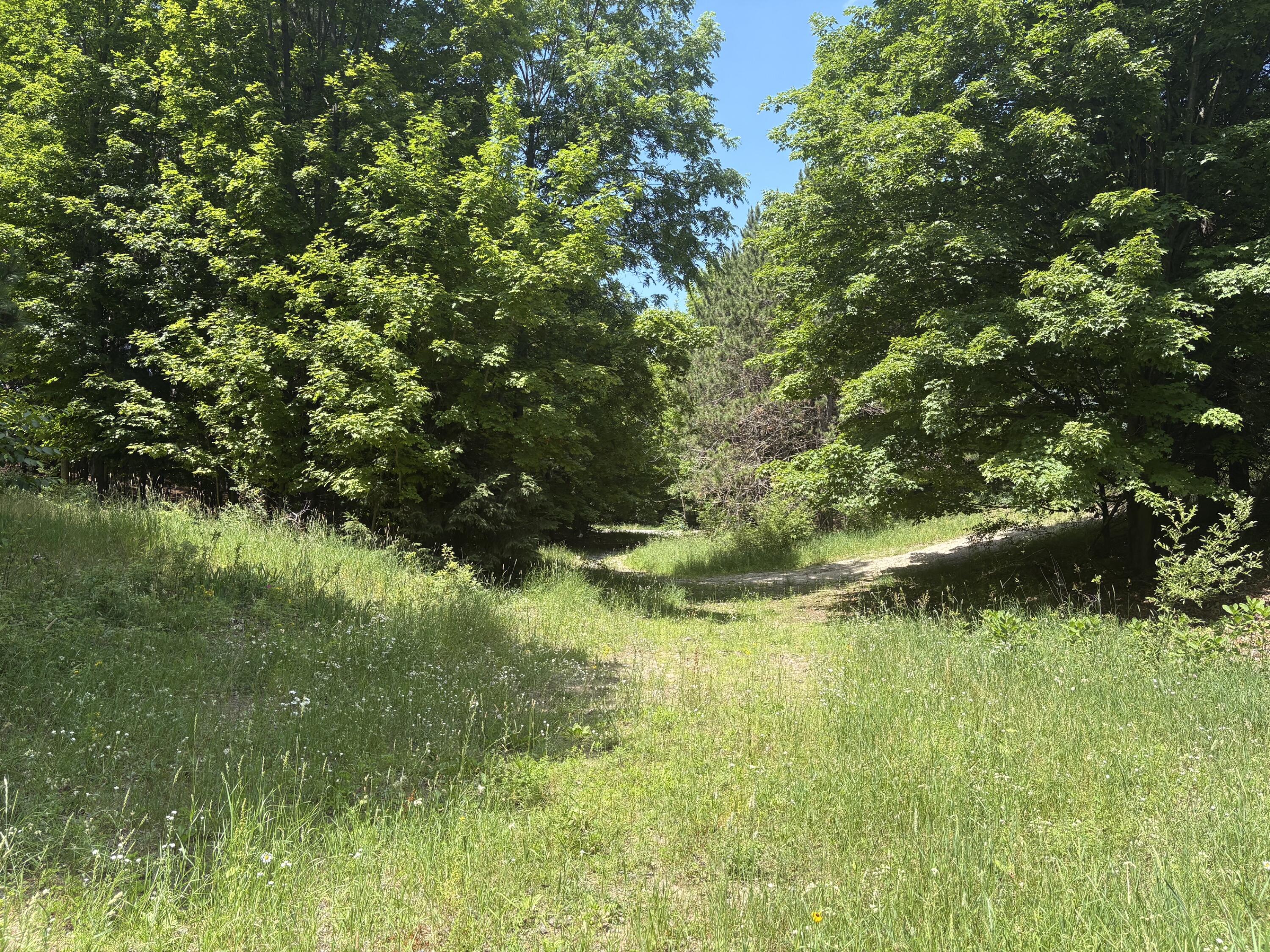 3475 Grace Road Property Photo 1