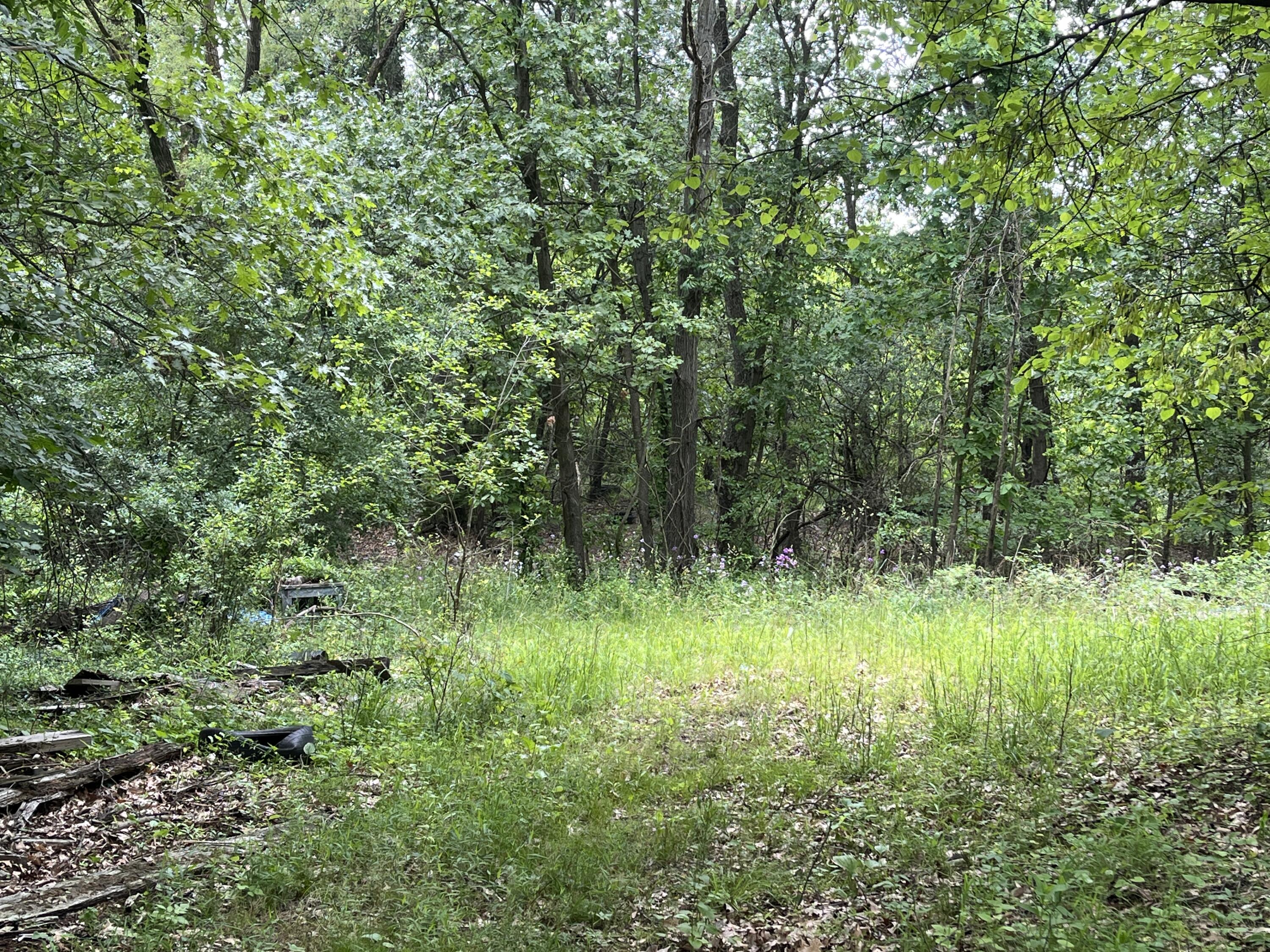 129 Fox Avenue Property Photo 5