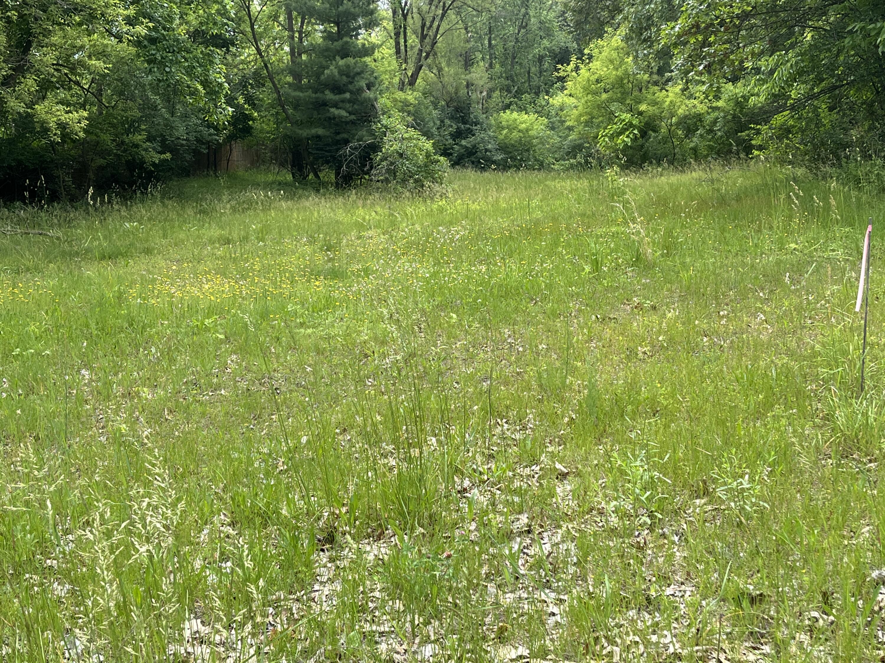 129 Fox Avenue Property Photo 6