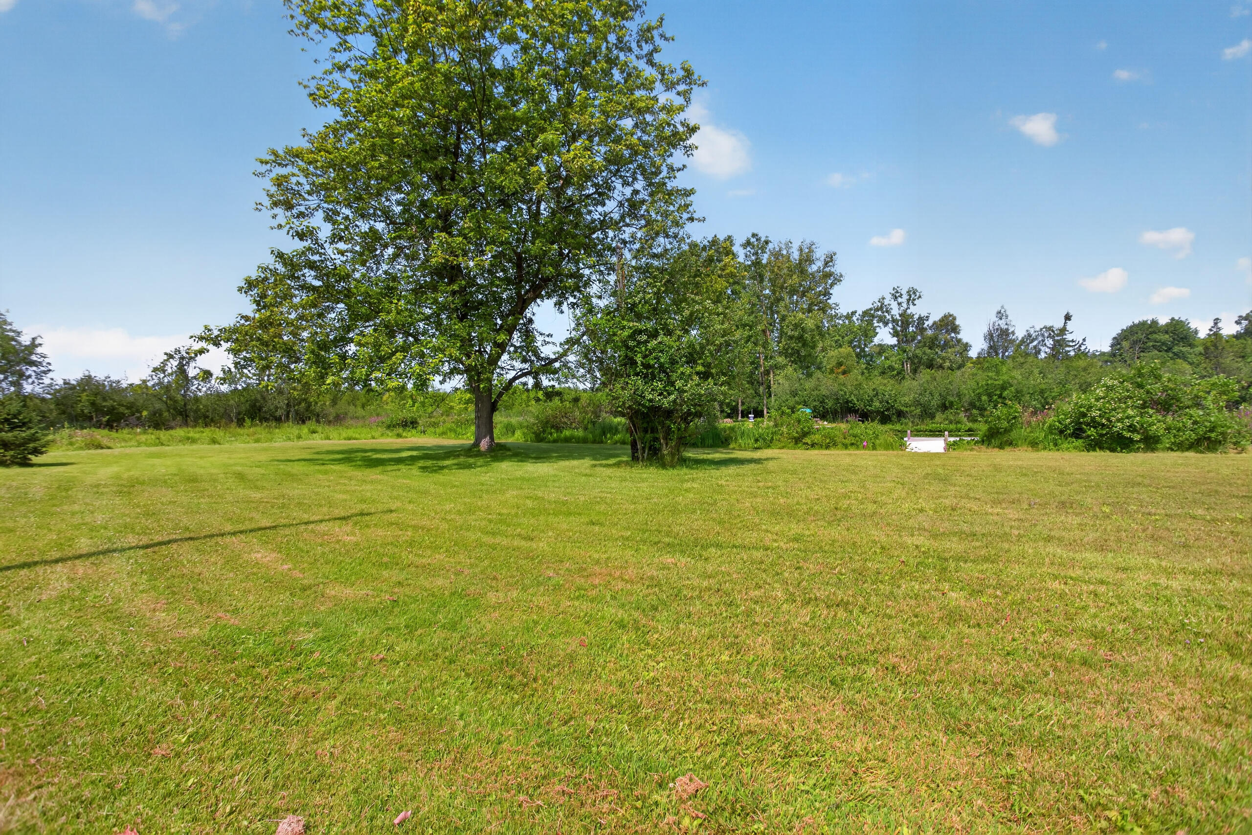 500 Cedar Street Property Photo 10