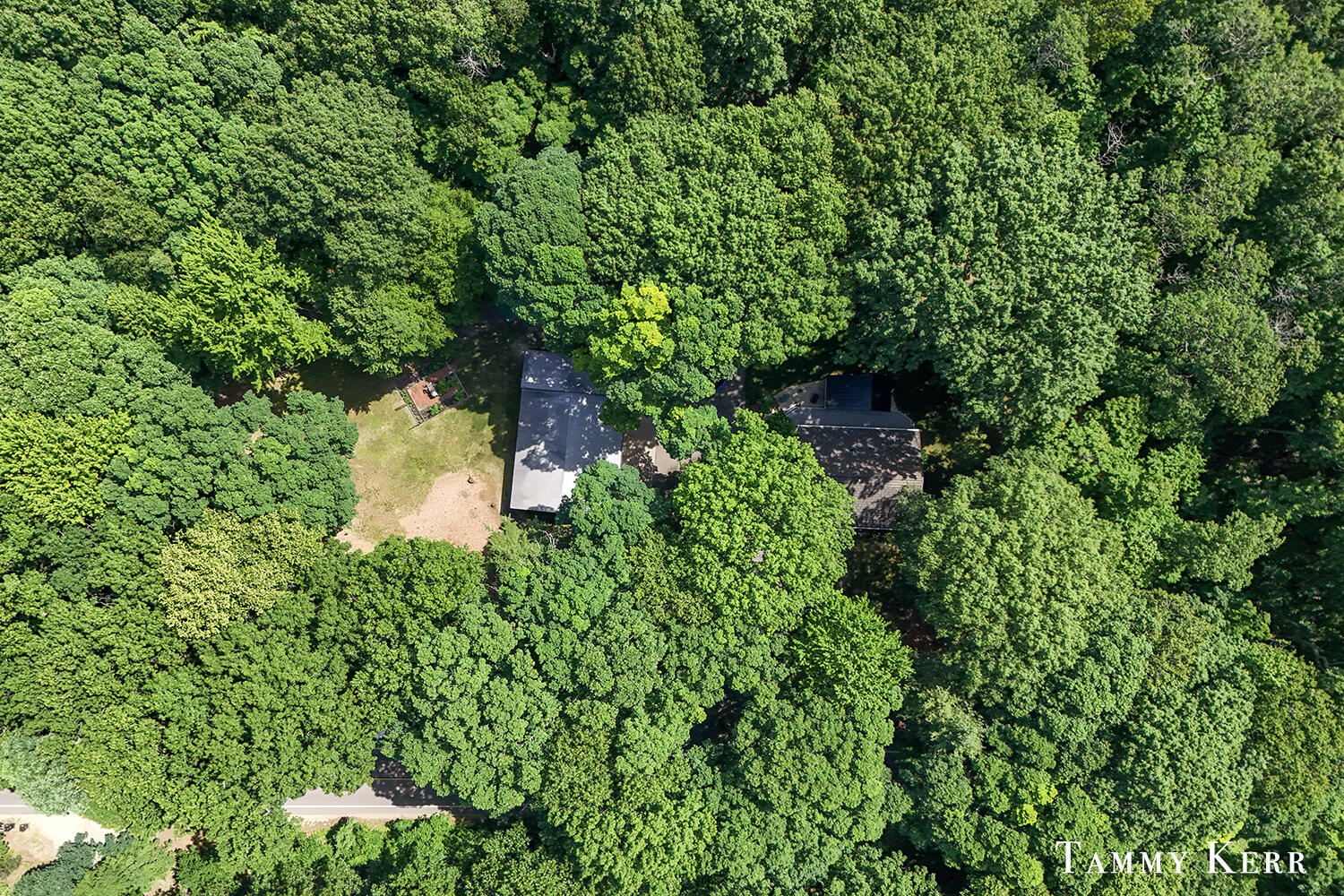 6051 Old Allegan Road Property Photo 50