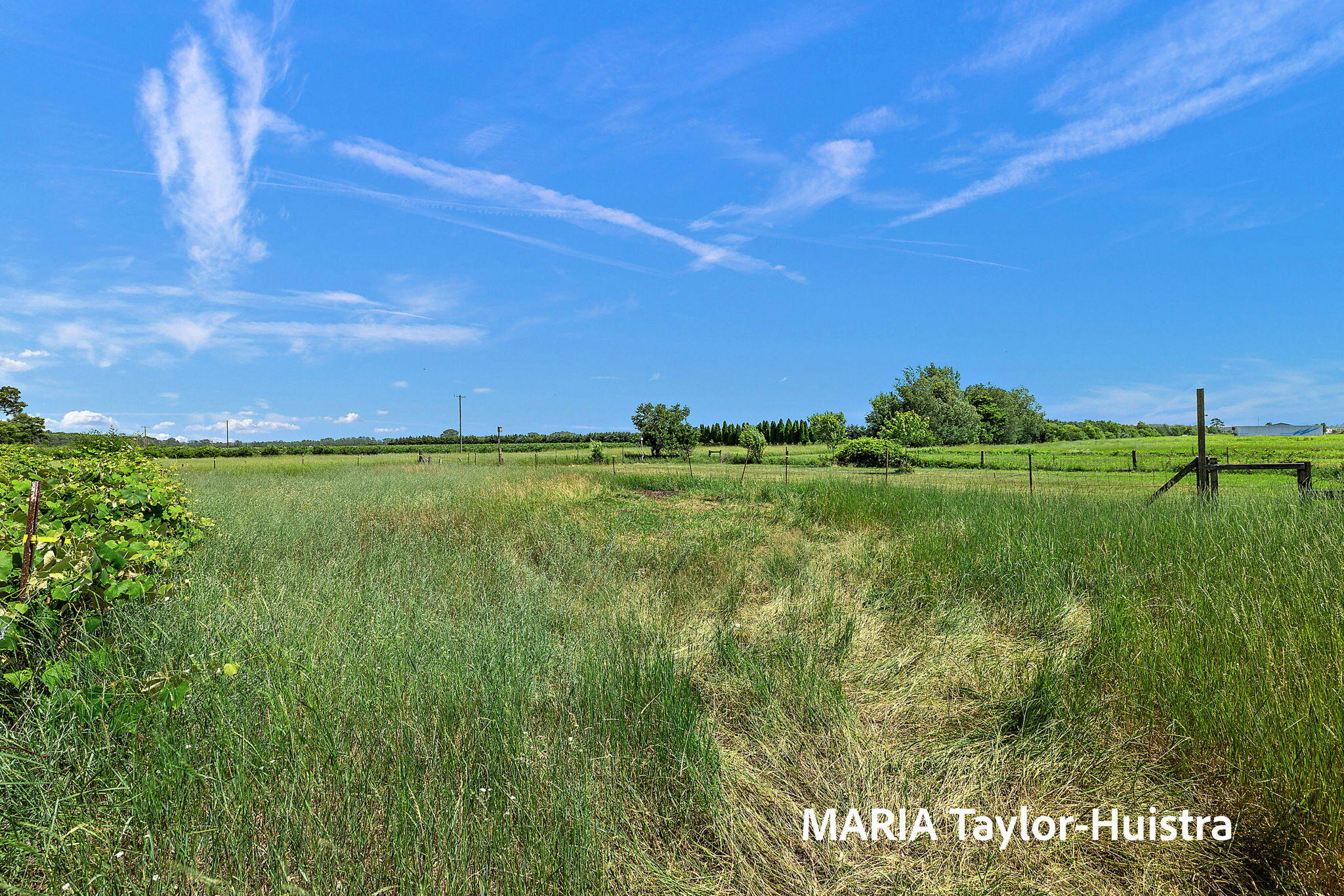 13388 Rich Street Property Photo 72