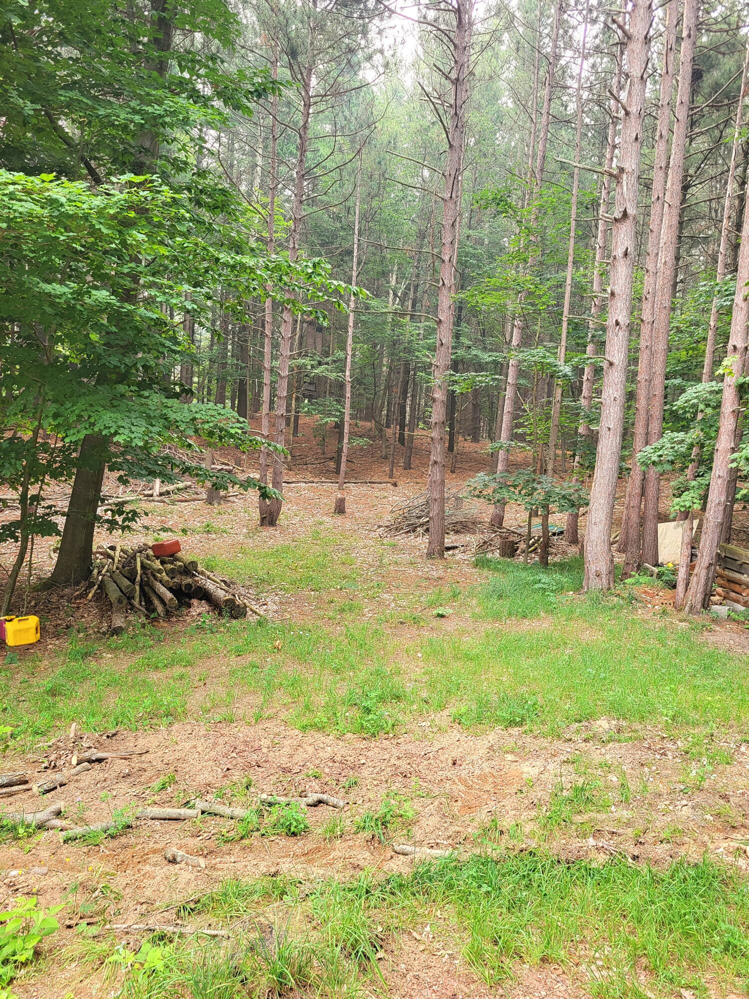 15940 Northwood Highway Property Photo 19