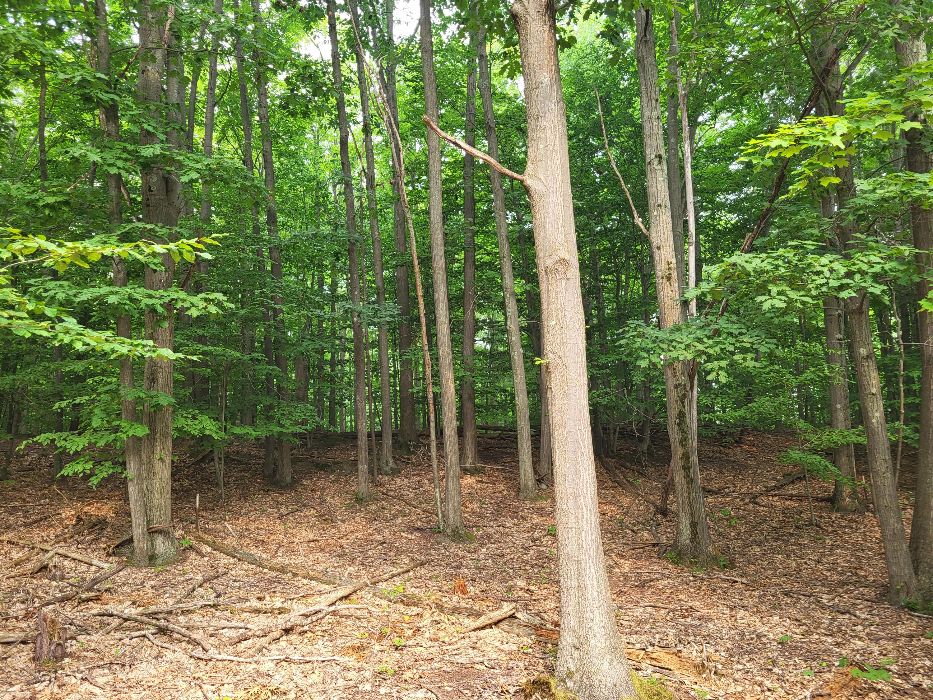 15940 Northwood Highway Property Photo 20