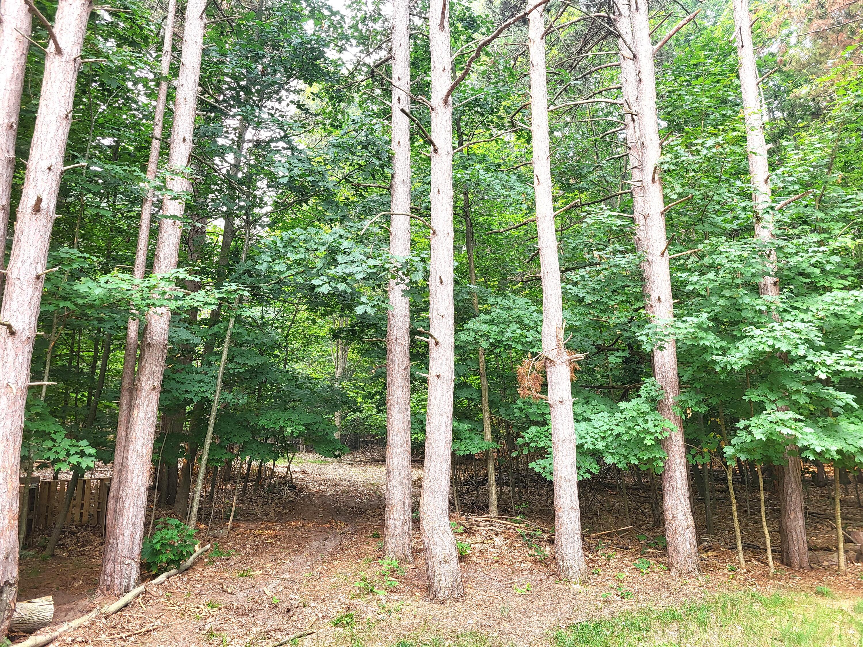 15940 Northwood Highway Property Photo 21