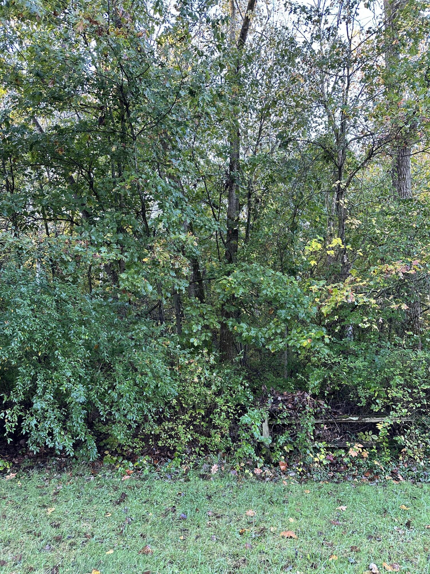1544 Echo Valley Drive Property Photo 4