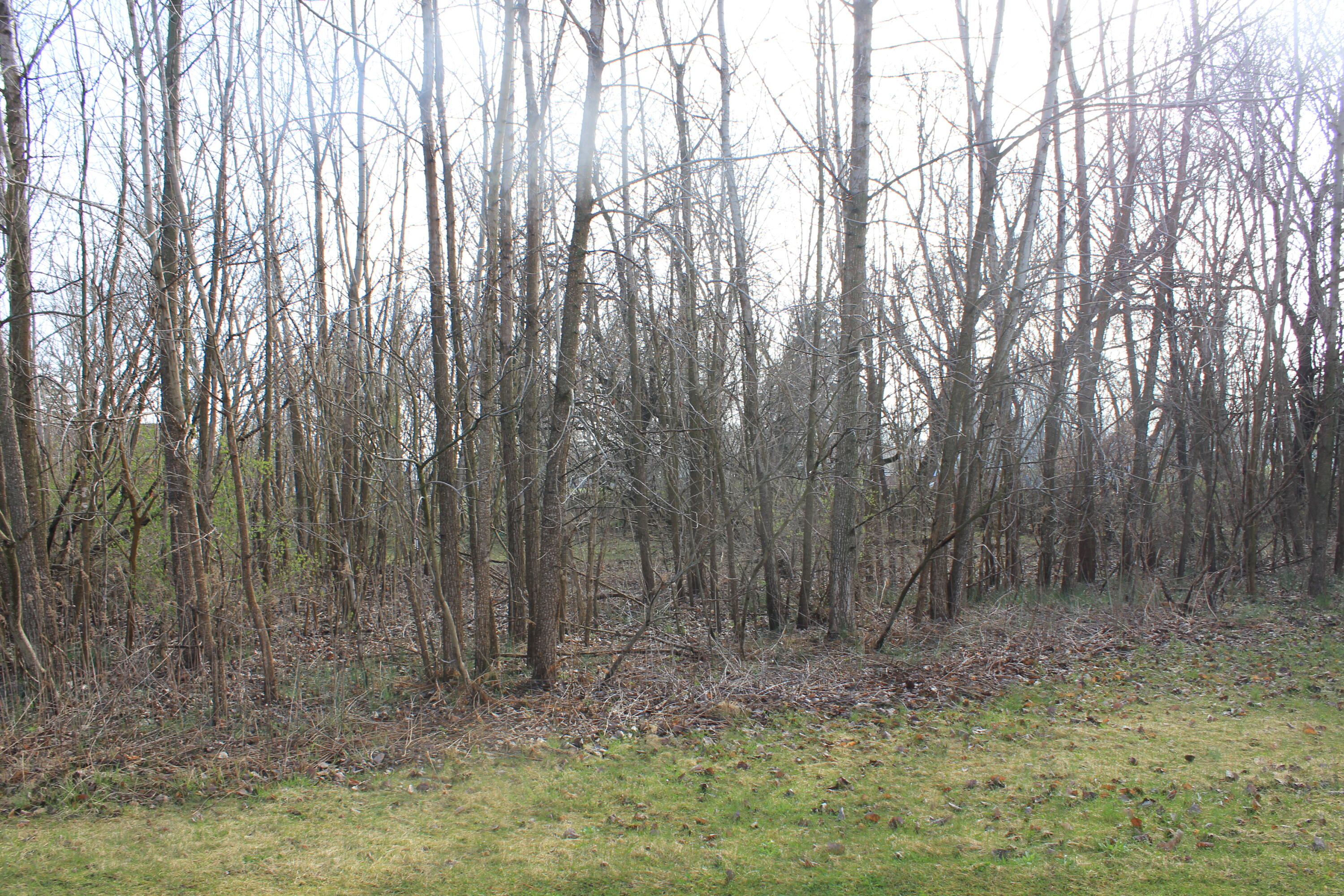 Red Arrow Highway Property Photo 4
