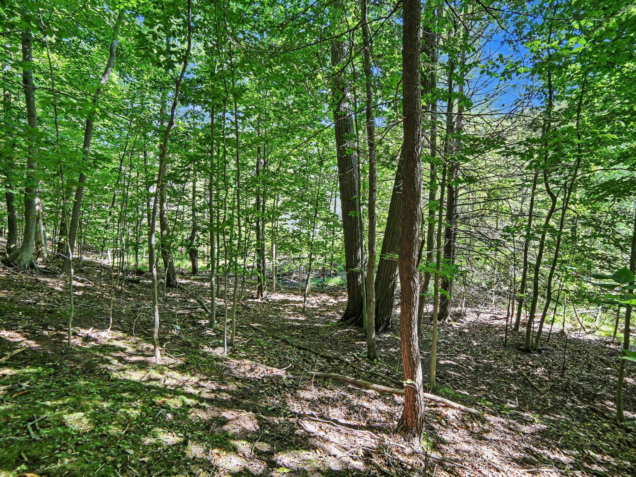 V/l South Shore Drive Property Photo 8