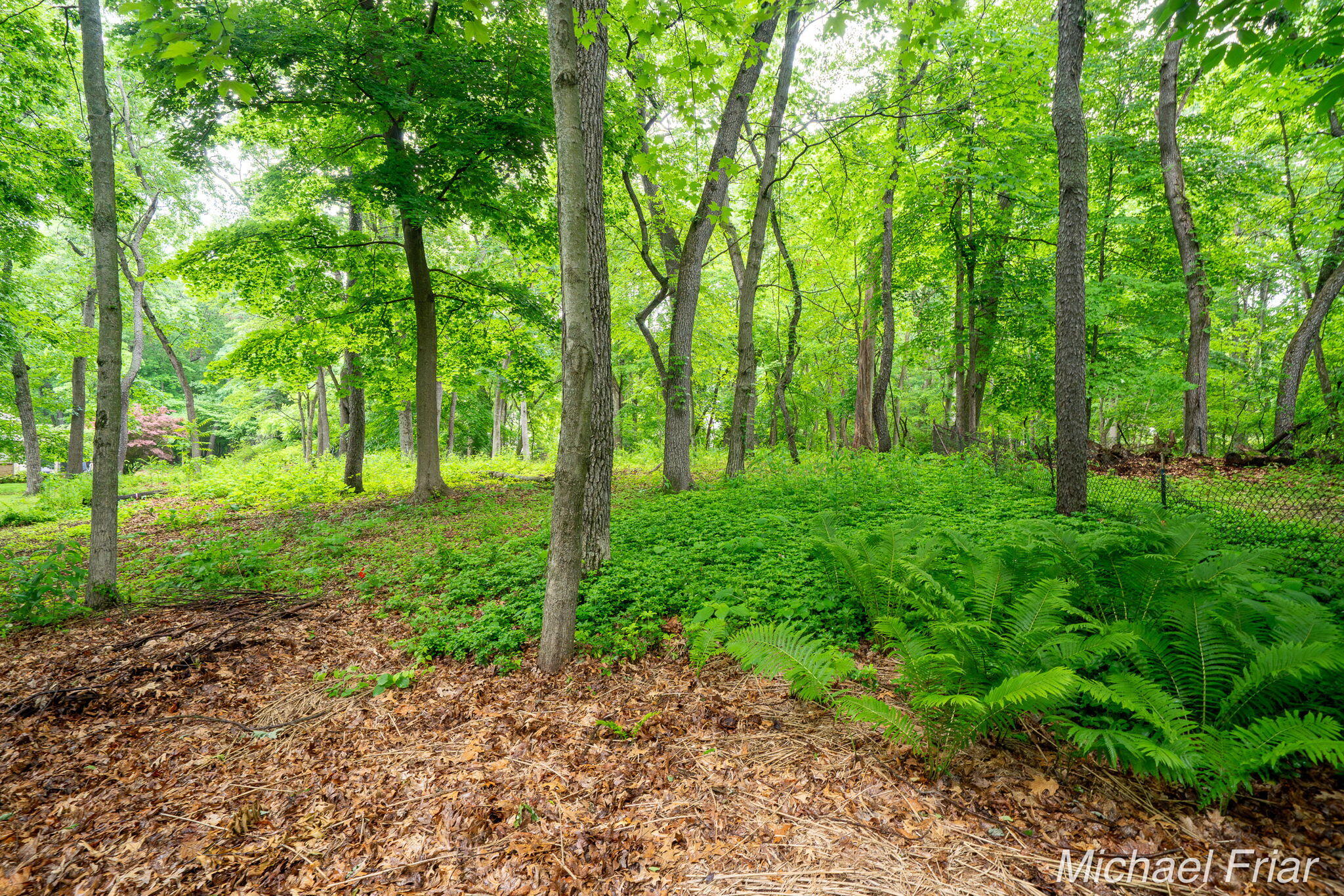 2700 Shadowbrook Drive Se Property Photo 50