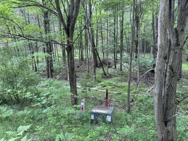 142 Hills Circle Property Photo 2