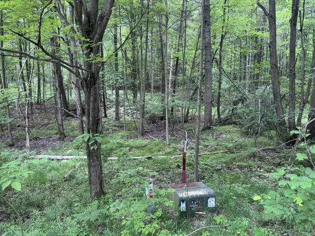 142 Hills Circle Property Photo 3