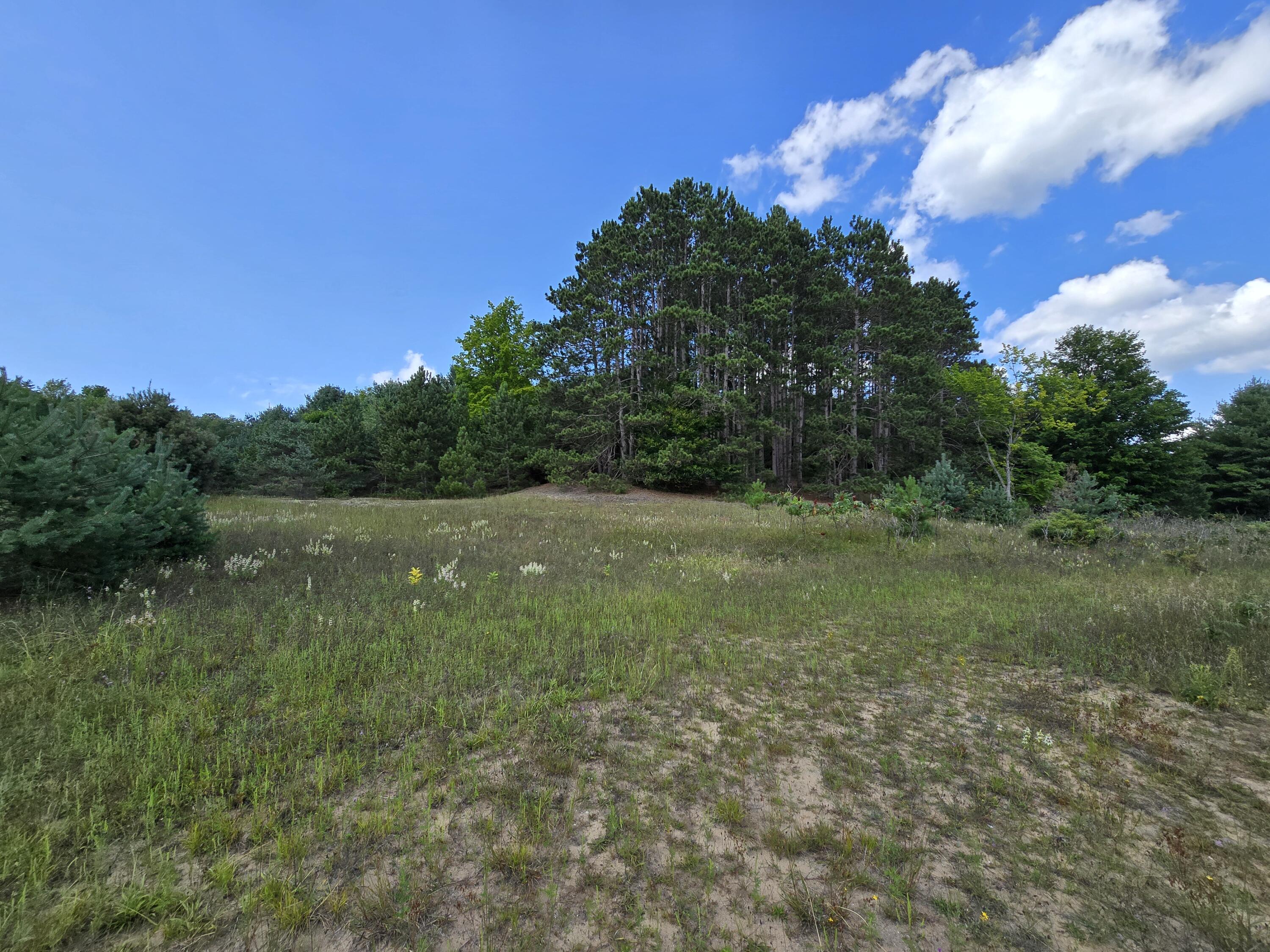 Vl 11 Mile Road Parcel B Property Photo 1