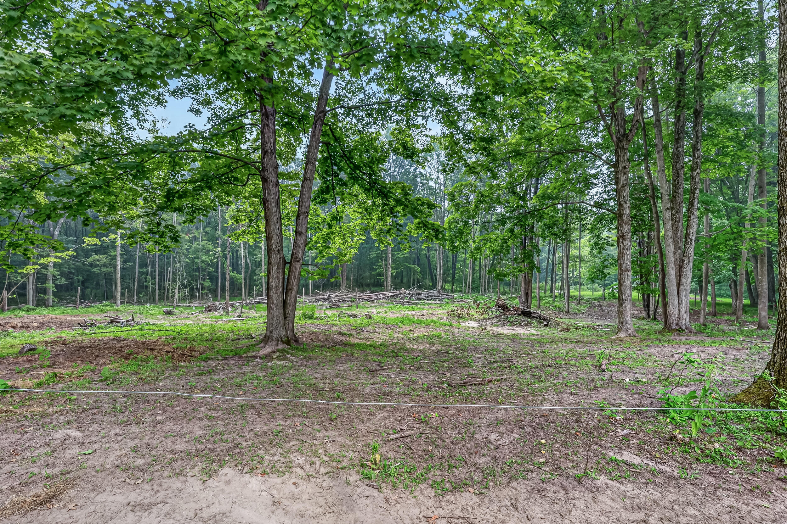 8045 W 16 Mile Property Photo 33