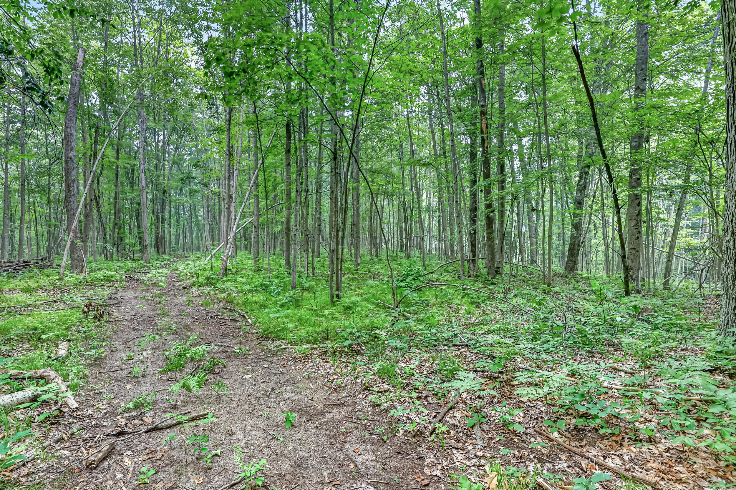 8045 W 16 Mile Property Photo 35