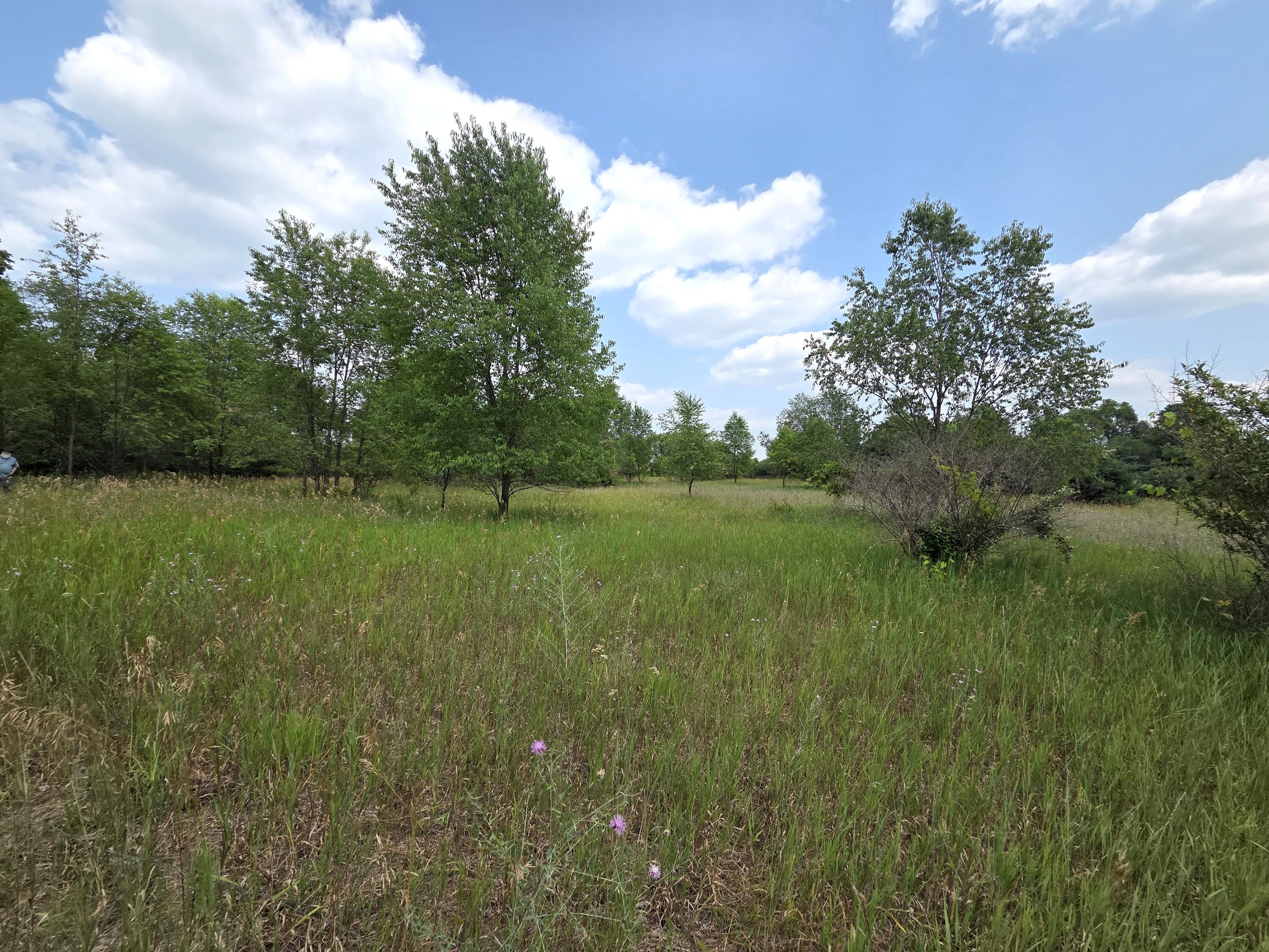 00 W Stanton Road Property Photo 7