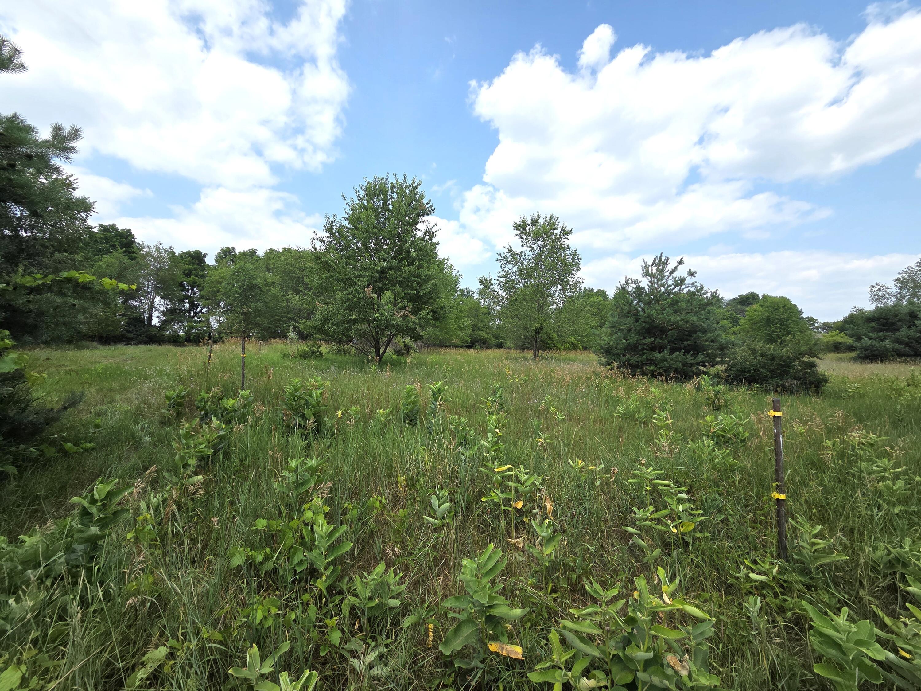 00 W Stanton Road Property Photo 11