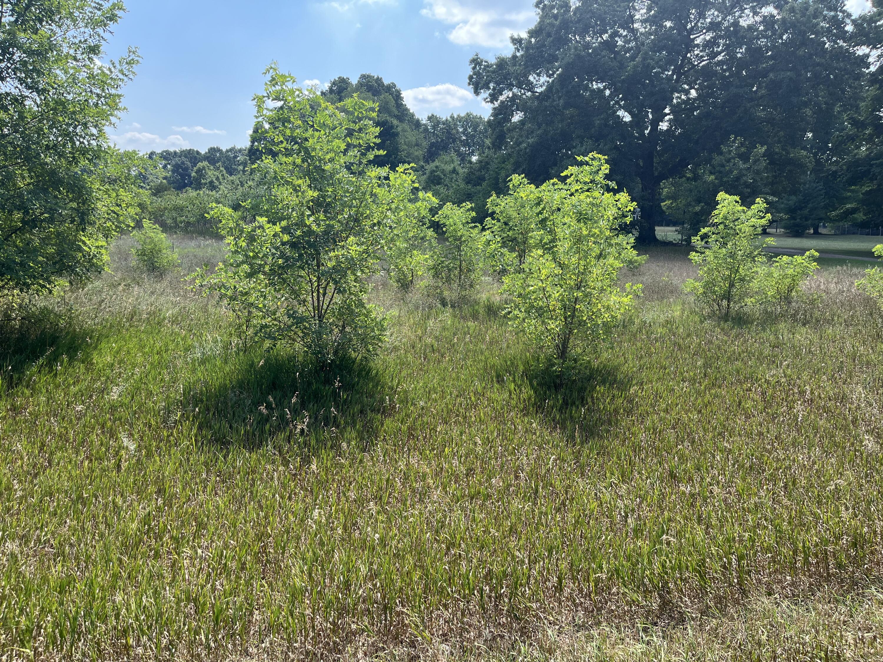 3380 Babylon Road Property Photo 2