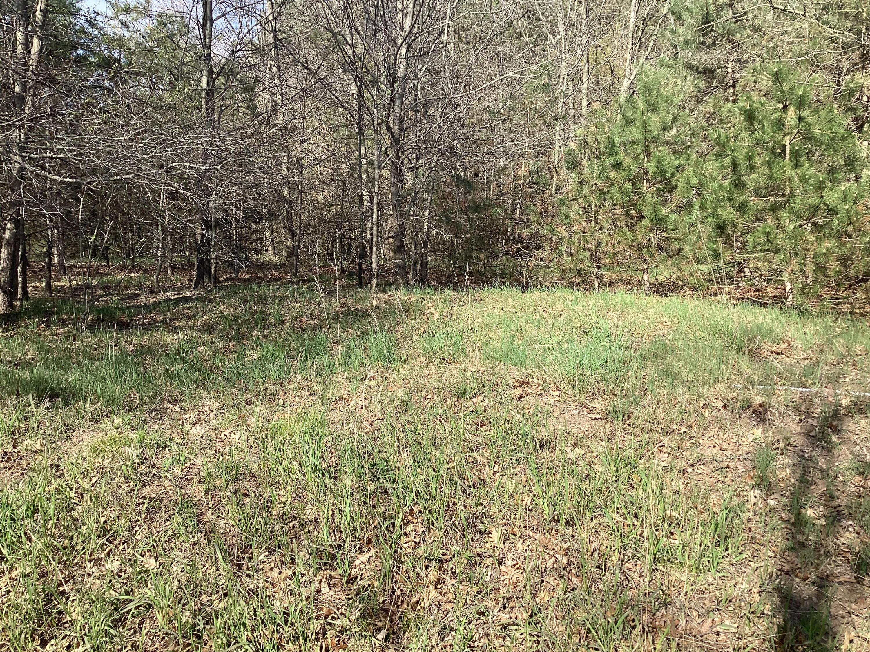 8005 W Juniper Beach Road Property Photo 14
