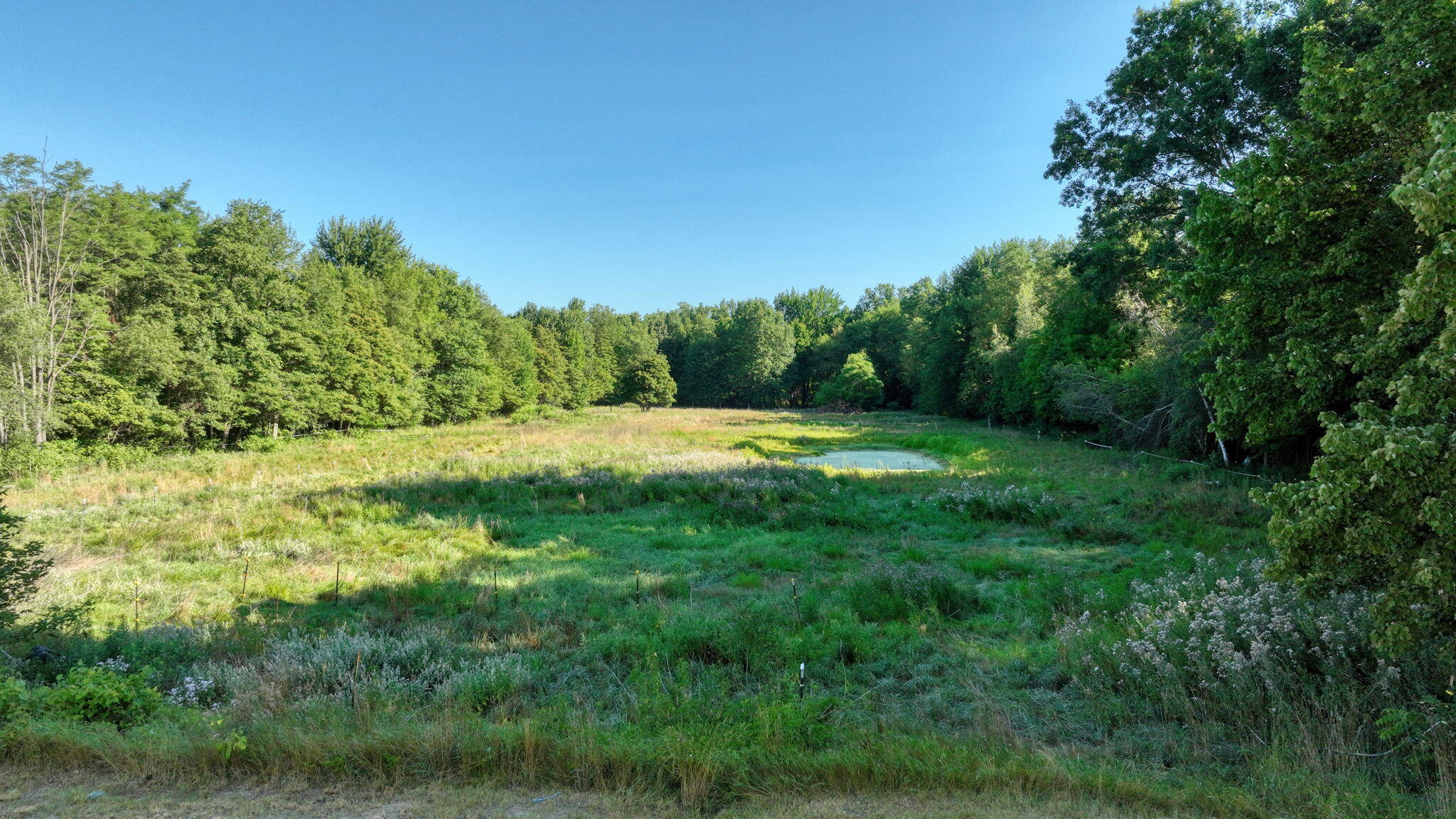 49300 Arkona Road Property Photo 61