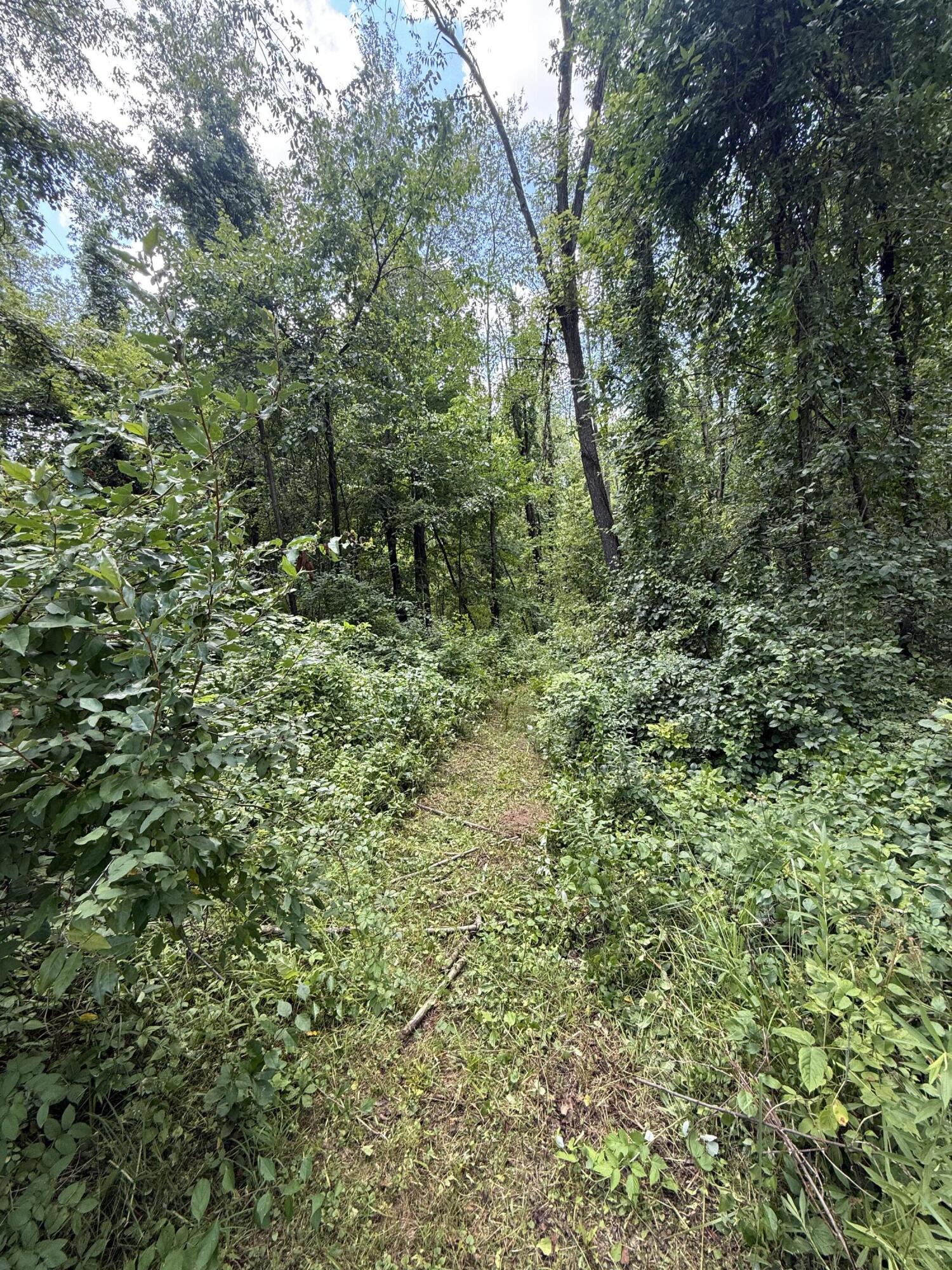 63518 Day Lake Road Property Photo 12
