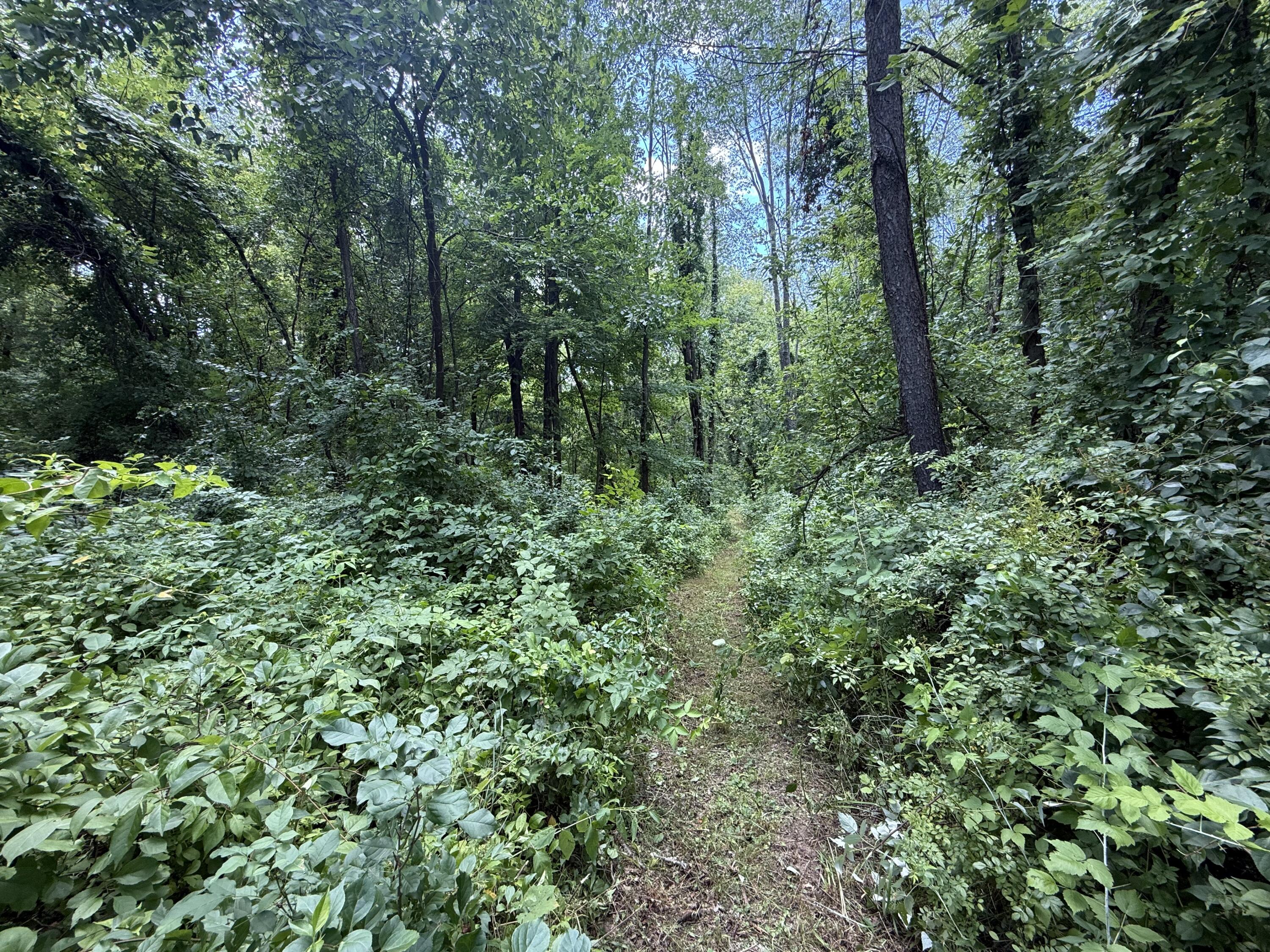 63518 Day Lake Road Property Photo 13