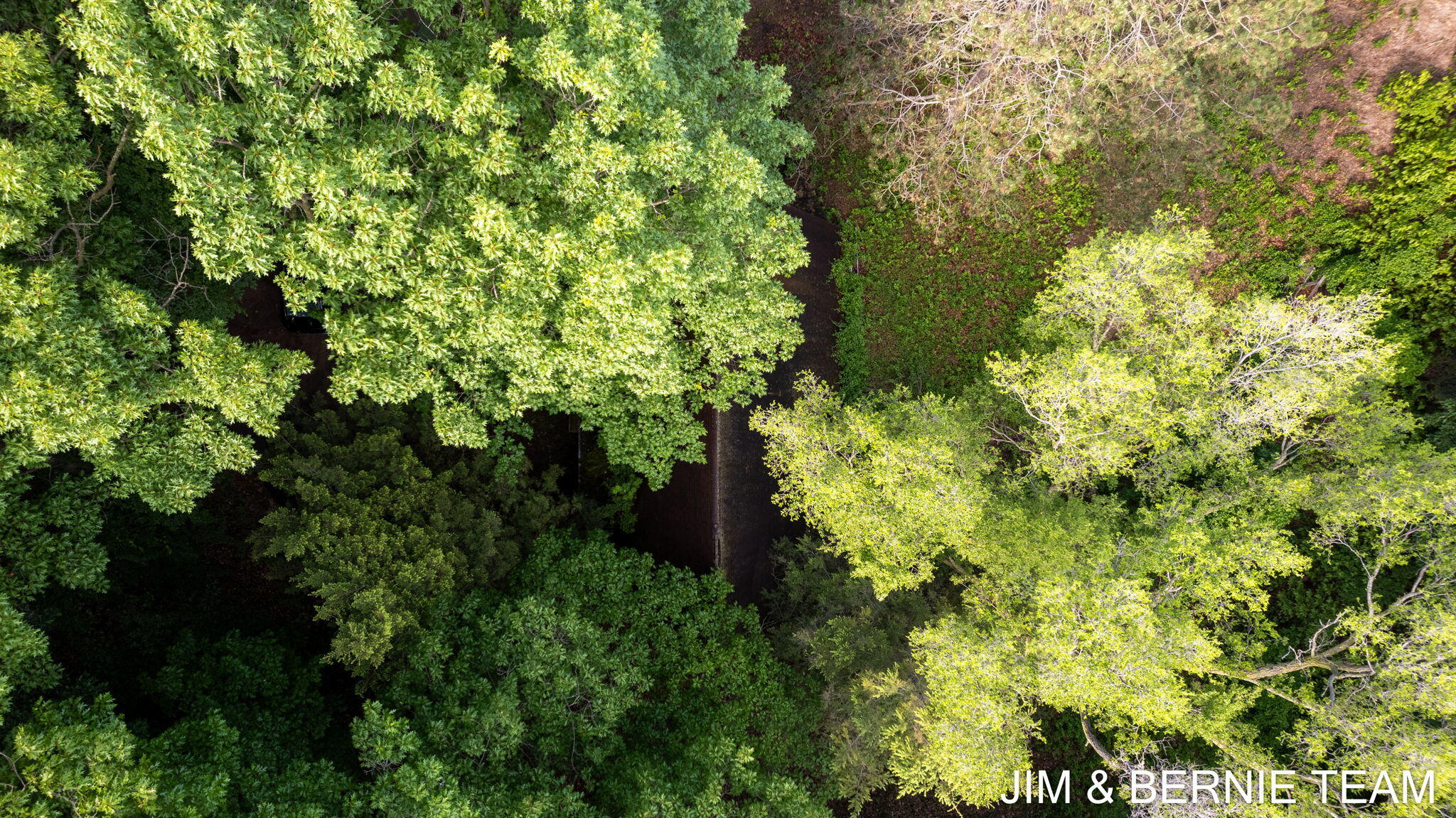 0 Hillside Trail Property Photo 31
