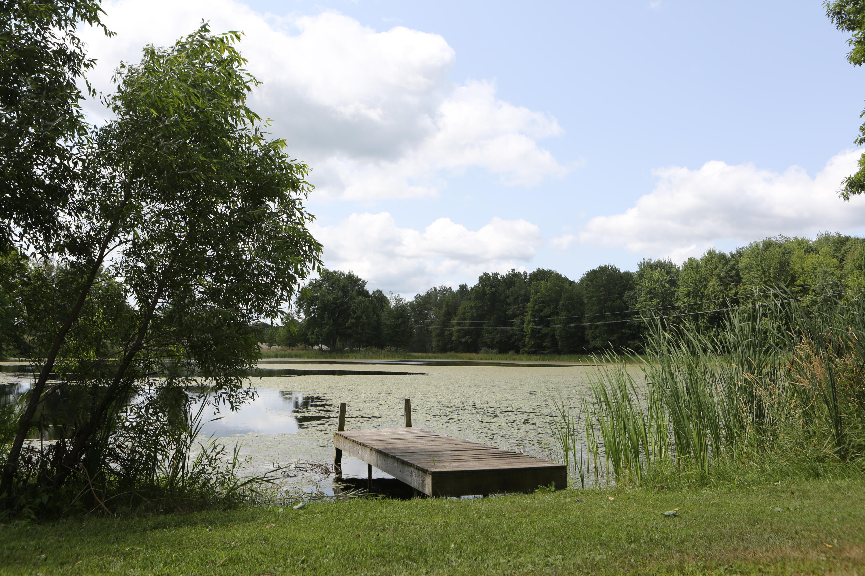10667 Getty Drive Property Photo 4