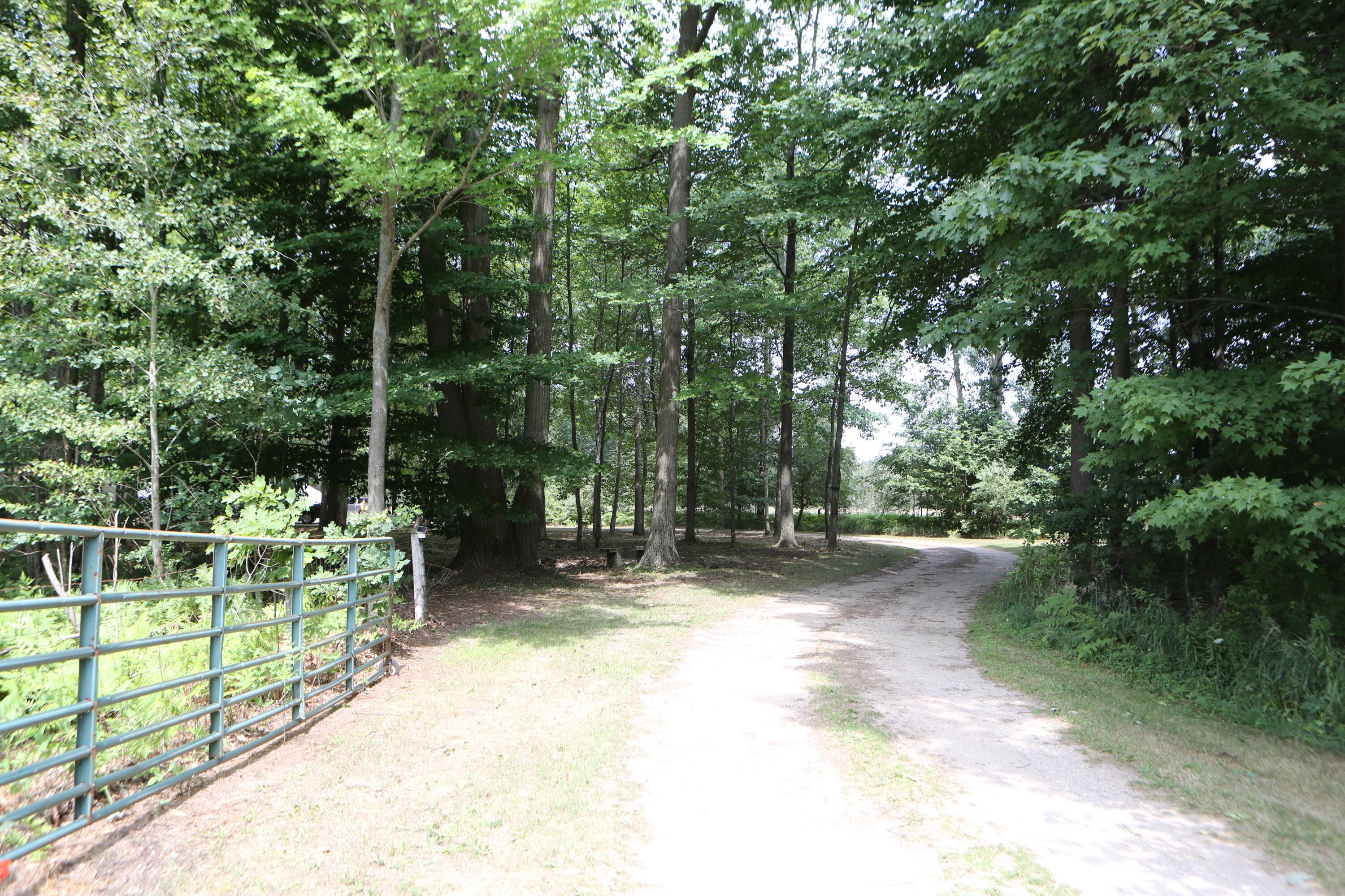 10667 Getty Drive Property Photo 6