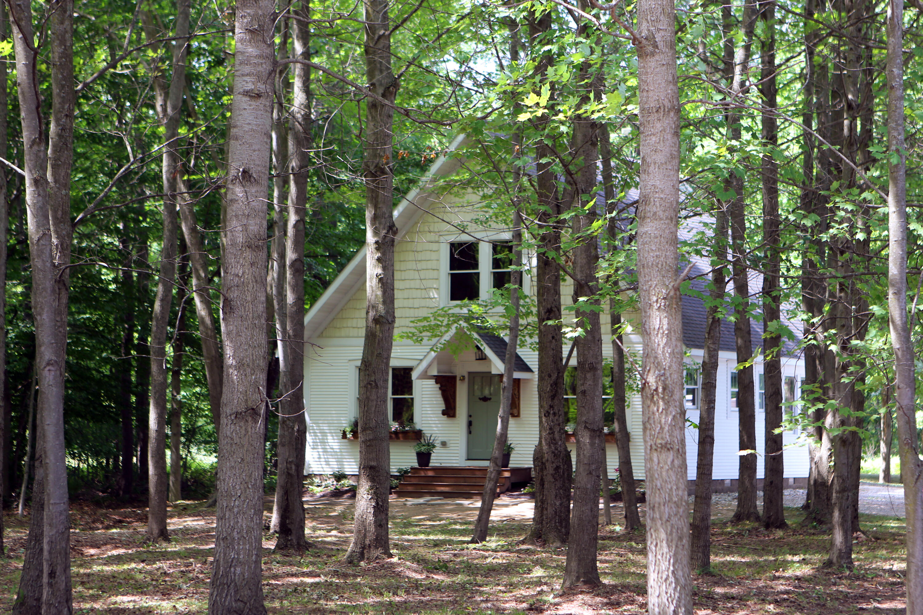 10667 Getty Drive Property Photo 37