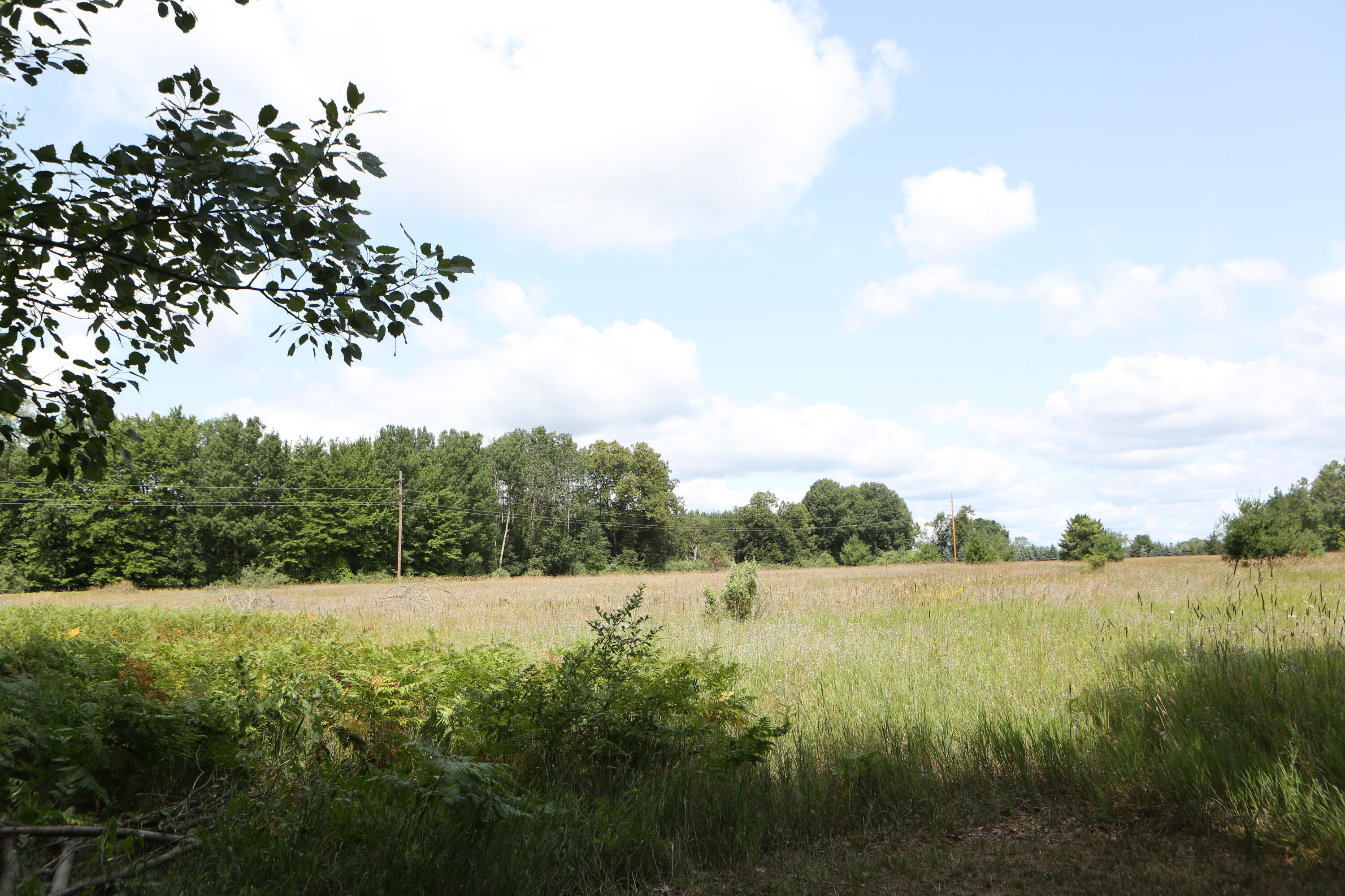 10667 Getty Drive Property Photo 47