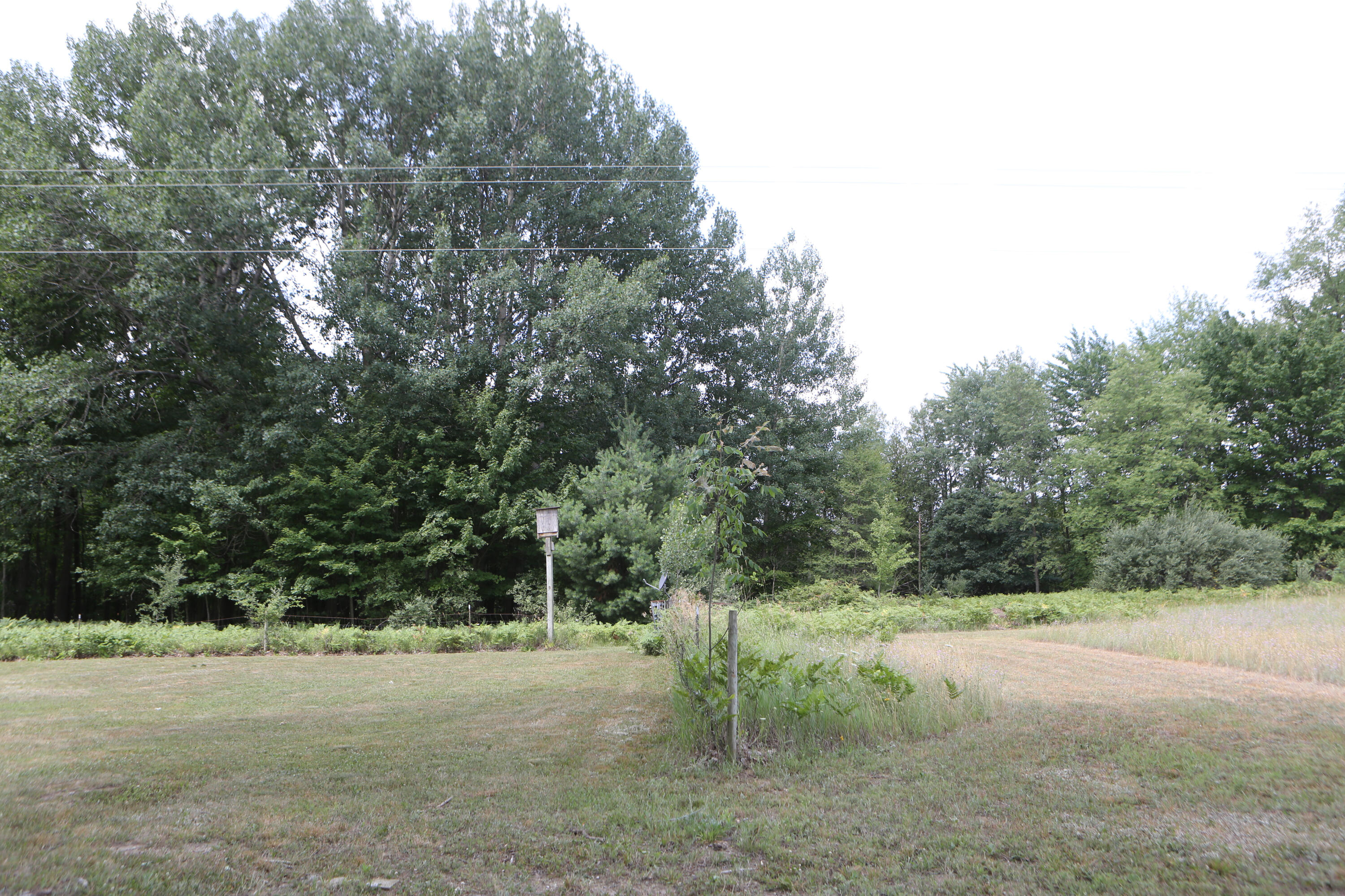 10667 Getty Drive Property Photo 49