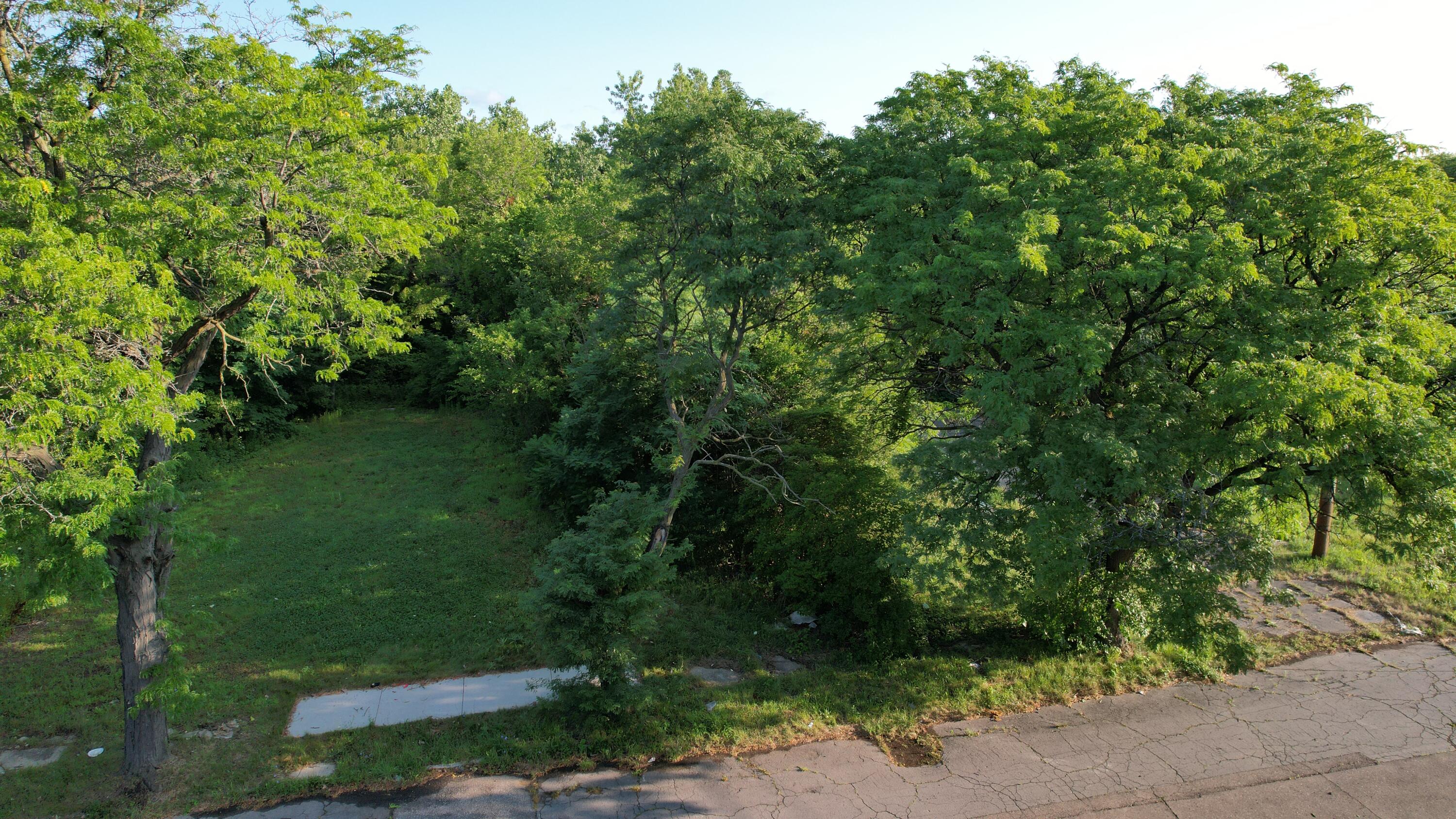 2640 W Forest Avenue Property Photo 3