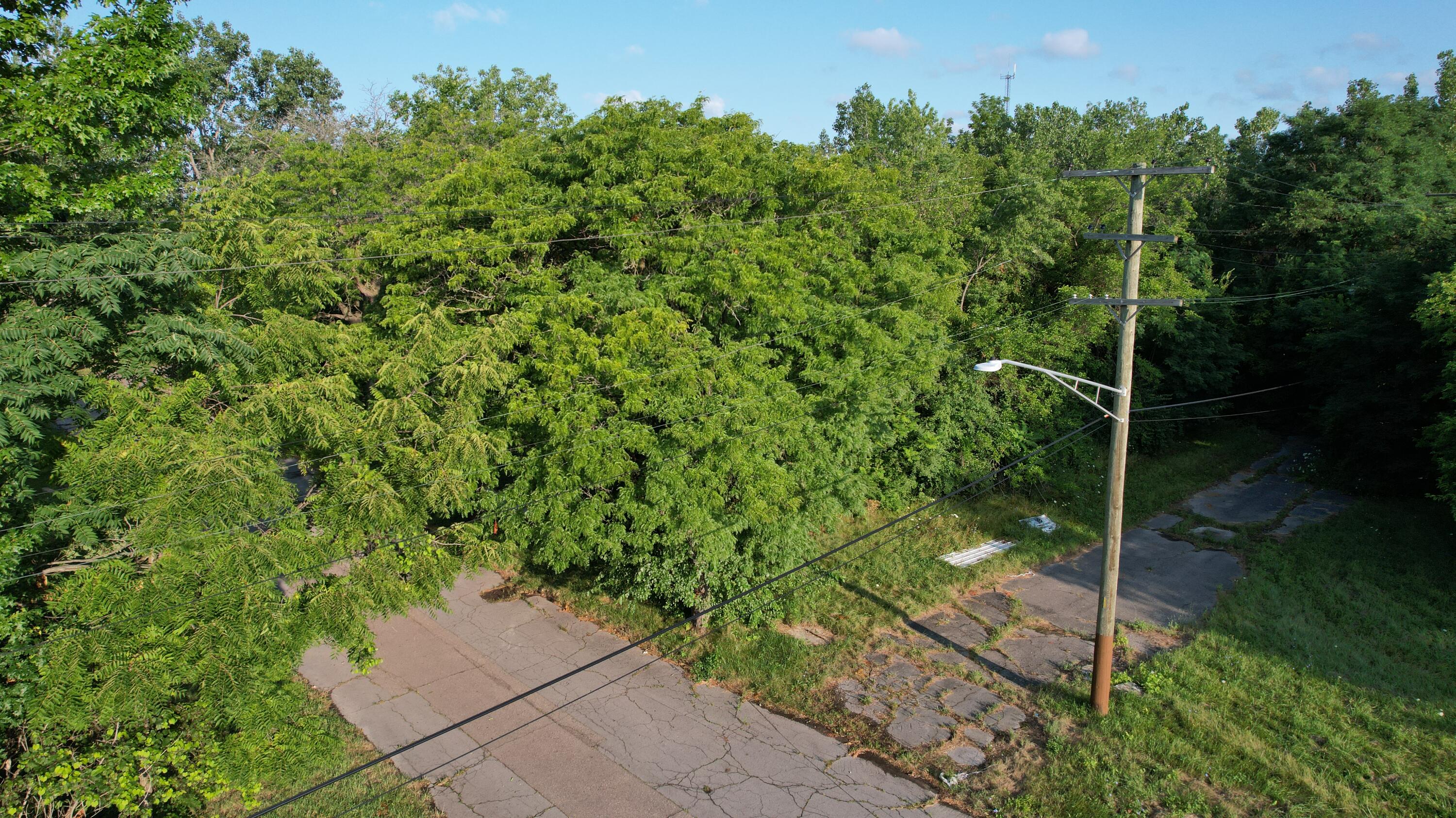 2640 W Forest Avenue Property Photo 4