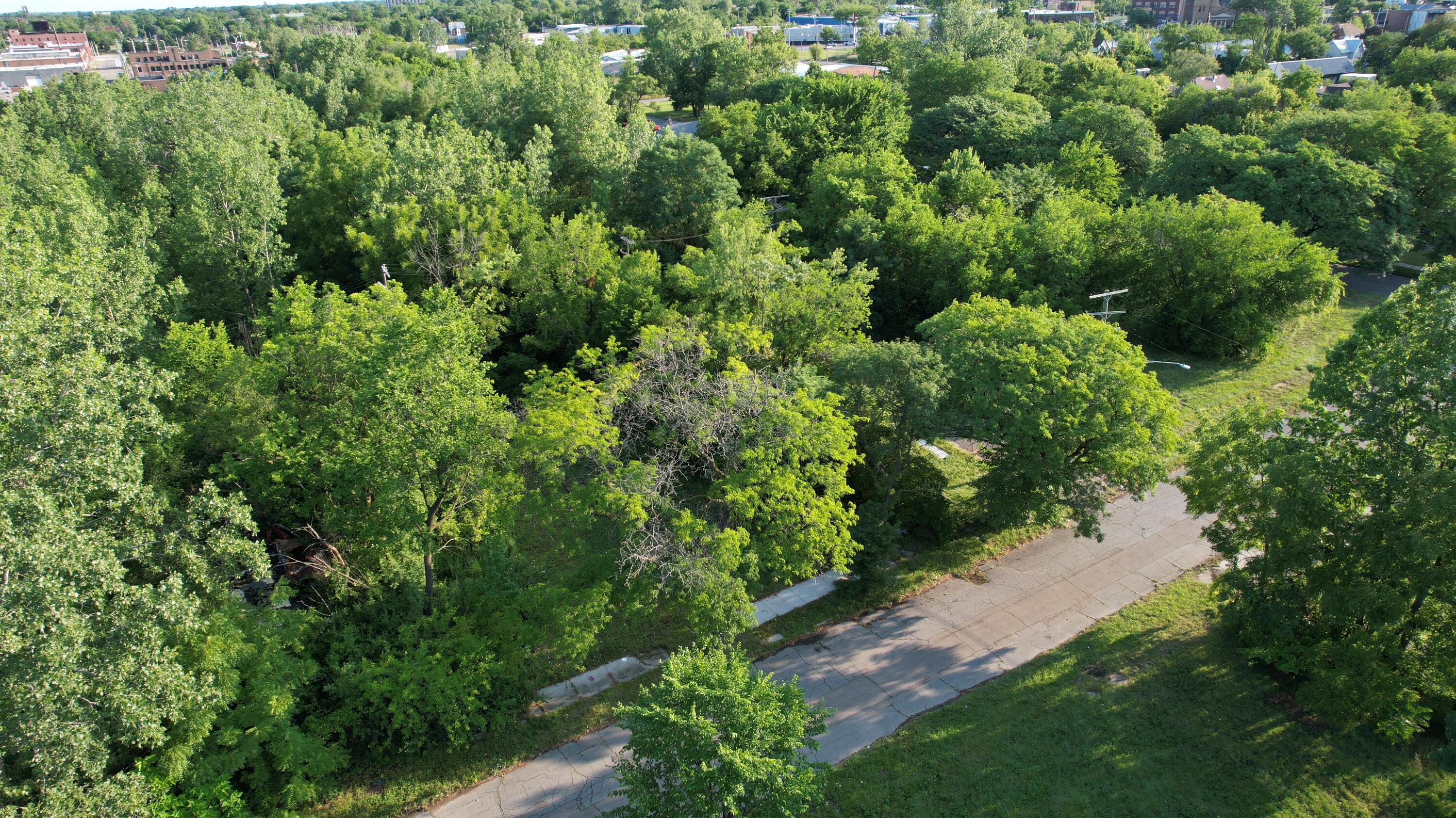 2640 W Forest Avenue Property Photo 5