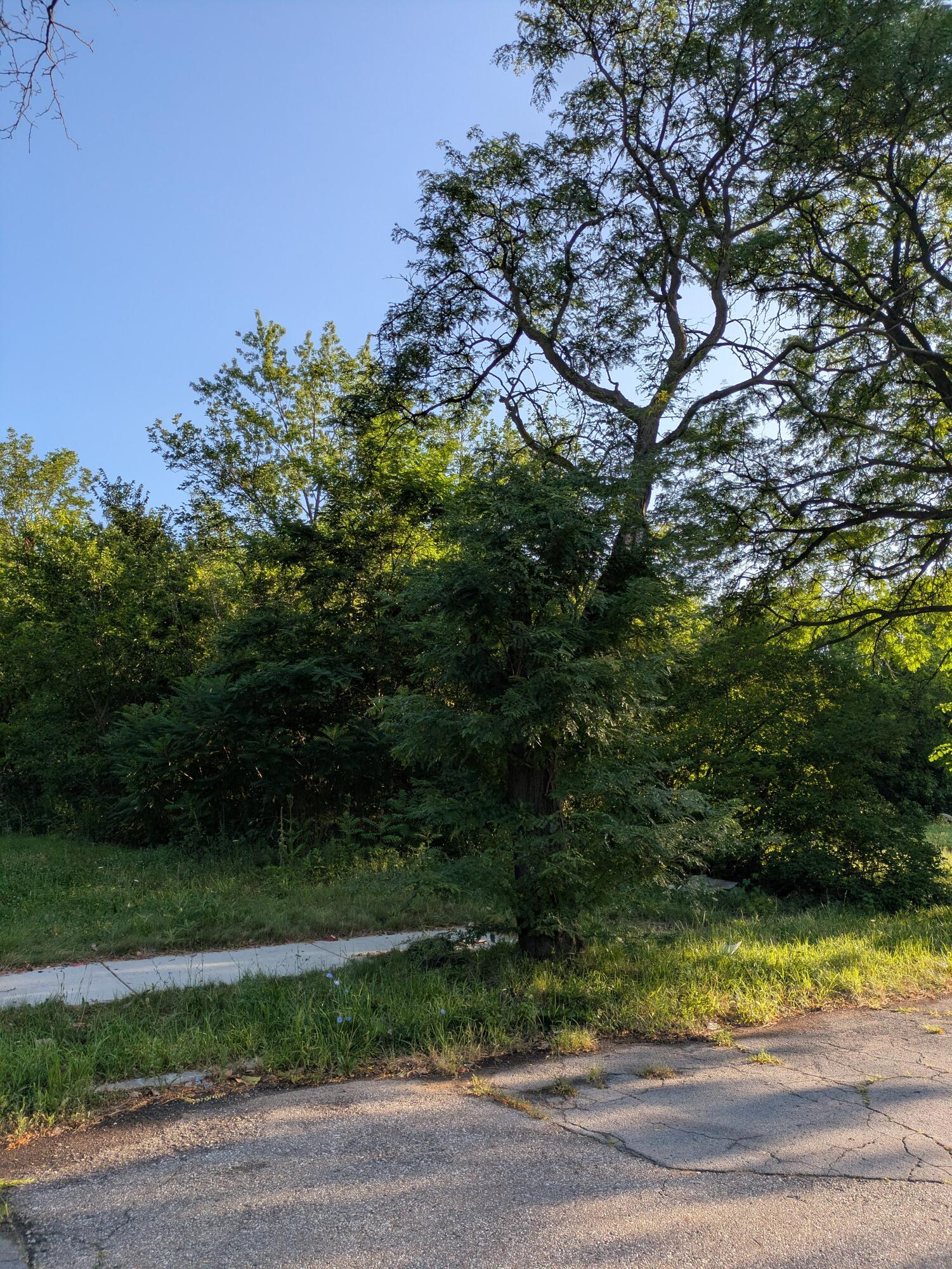 2640 W Forest Avenue Property Photo 6