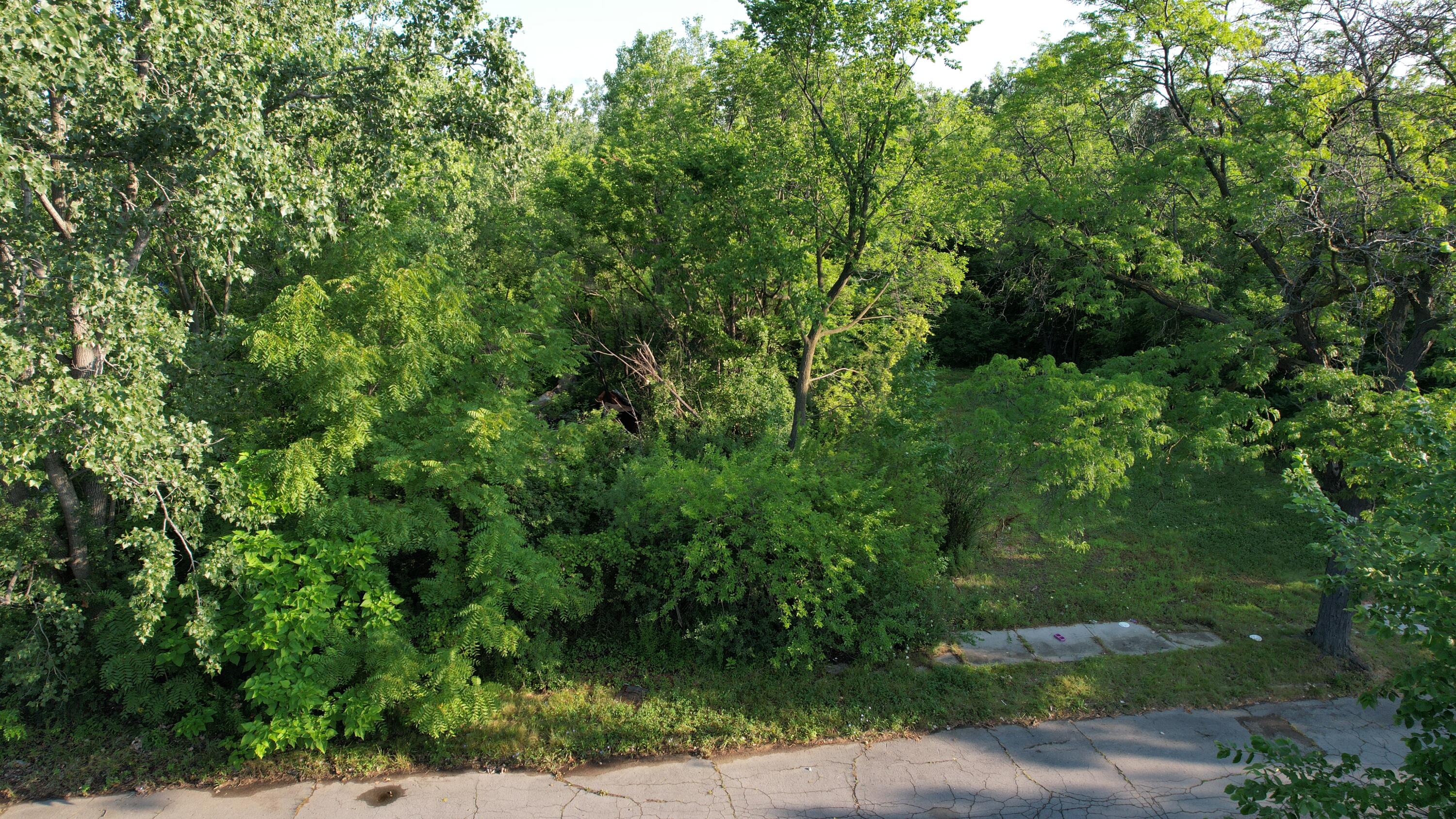 2660 W Forest Avenue Property Photo 3