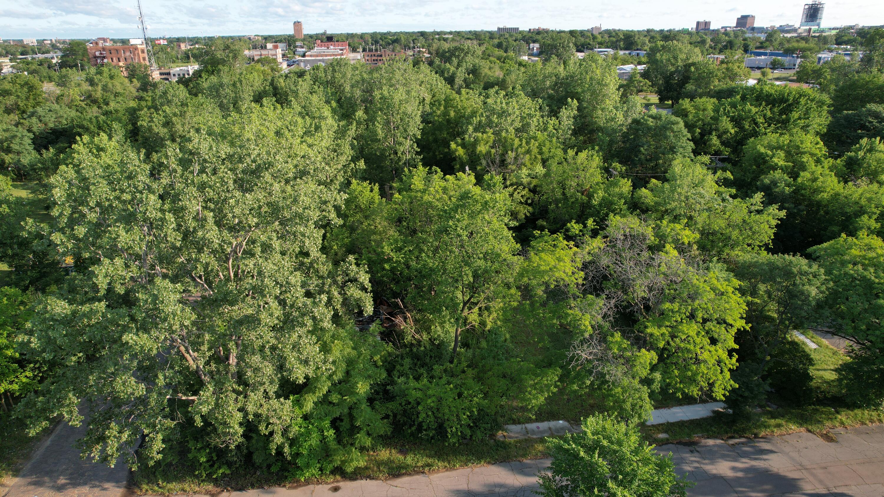 2660 W Forest Avenue Property Photo 5