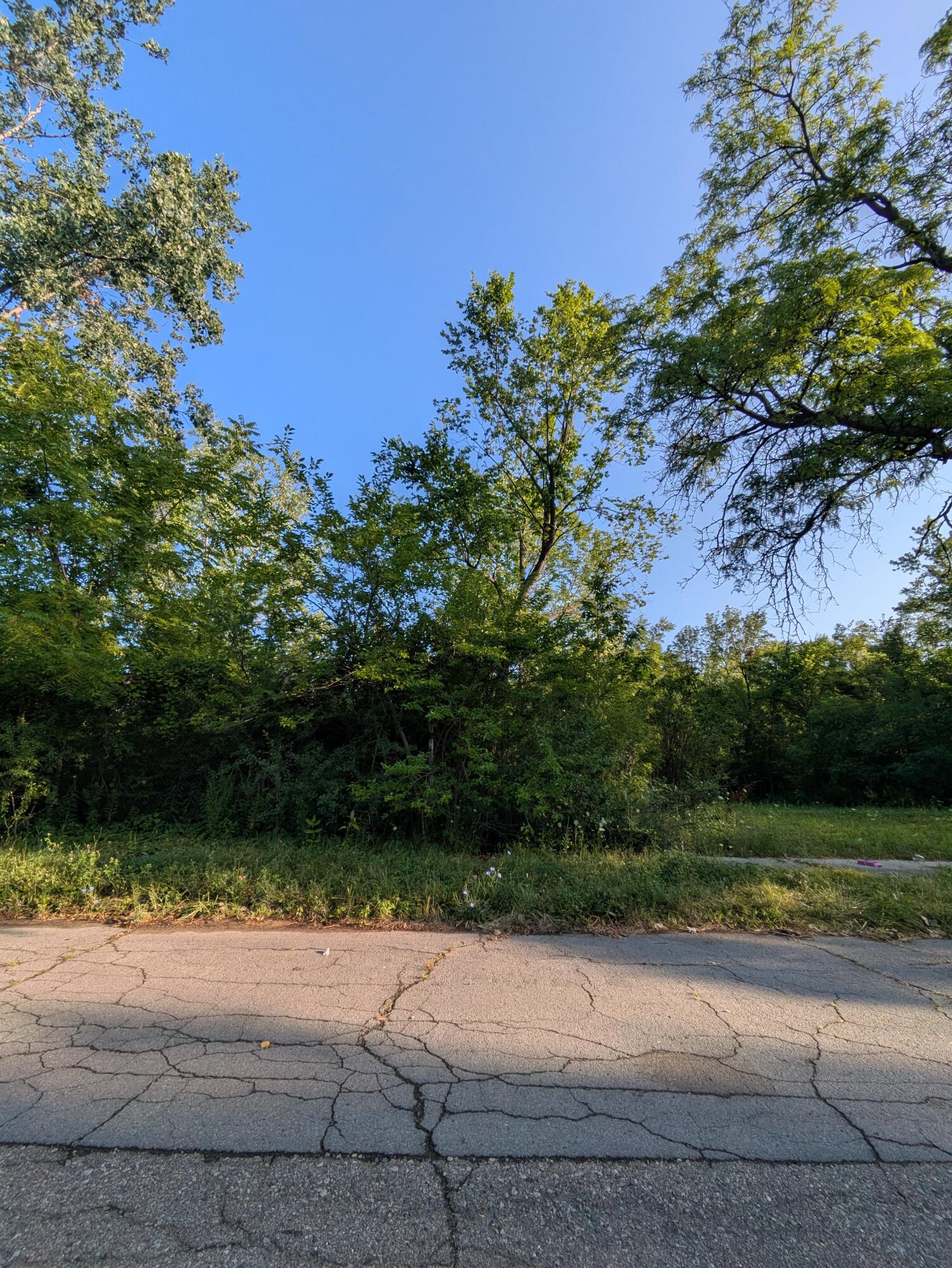 2660 W Forest Avenue Property Photo 6
