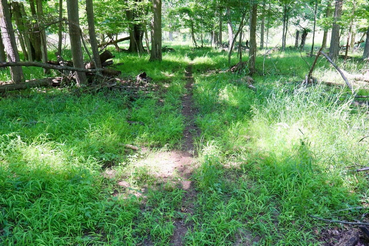 V/l N Scott Road Property Photo 6