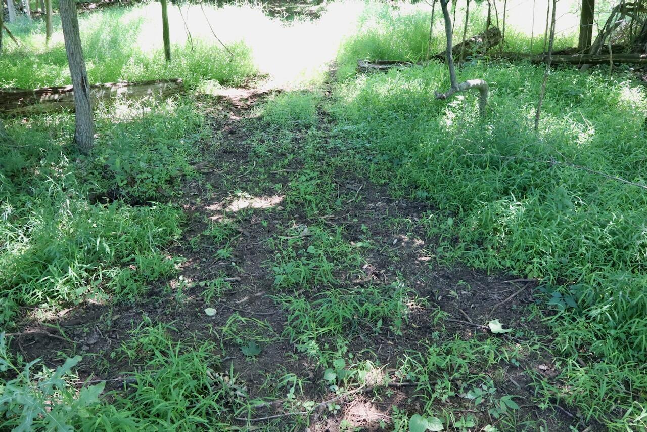 V/l N Scott Road Property Photo 18