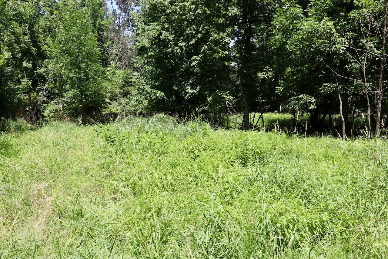 V/l N Scott Road Property Photo 20