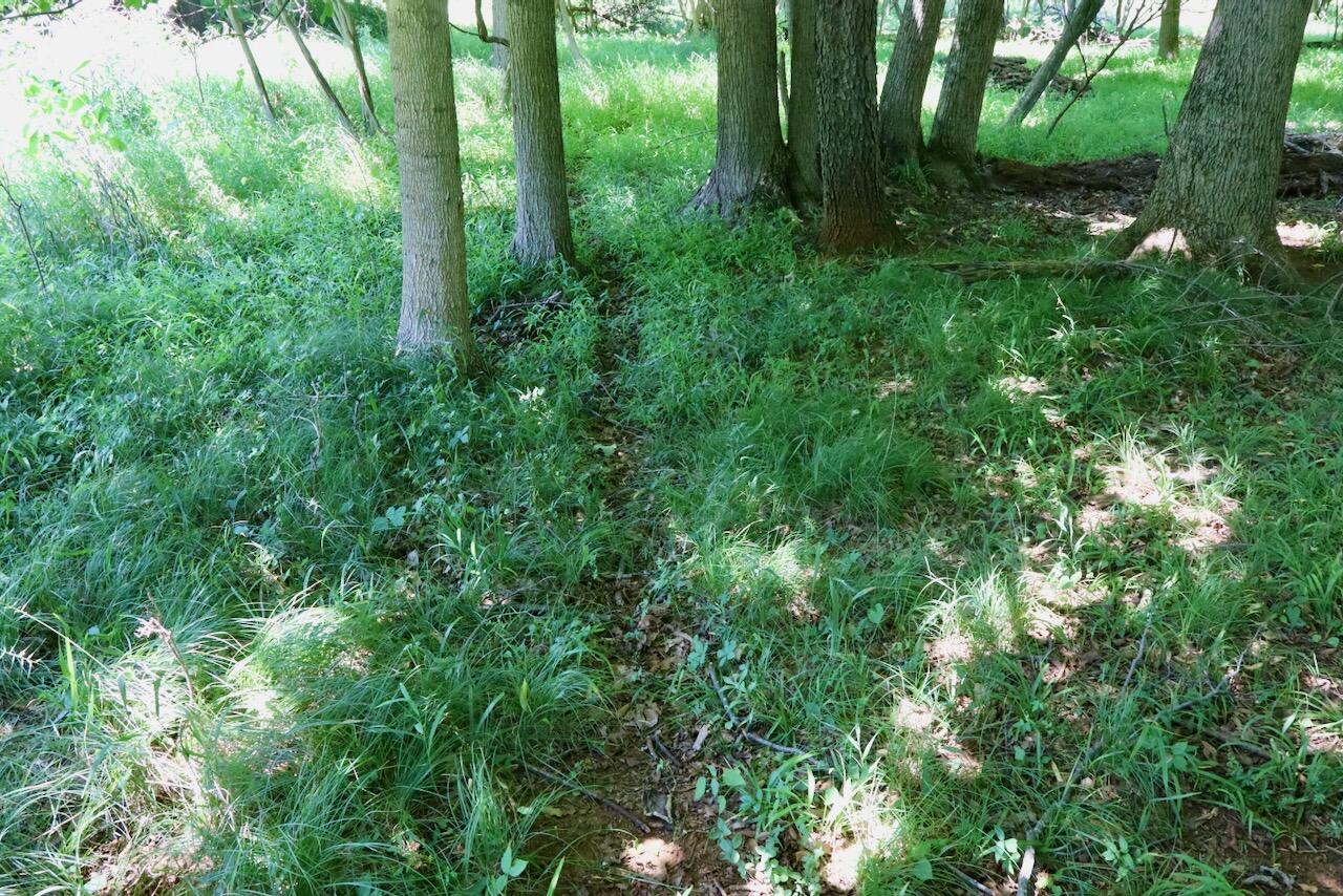 V/l N Scott Road Property Photo 23