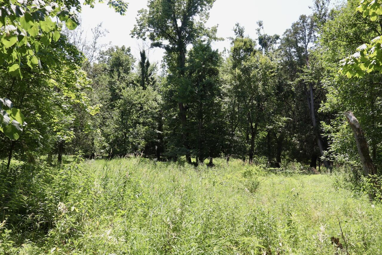 V/l N Scott Road Property Photo 25