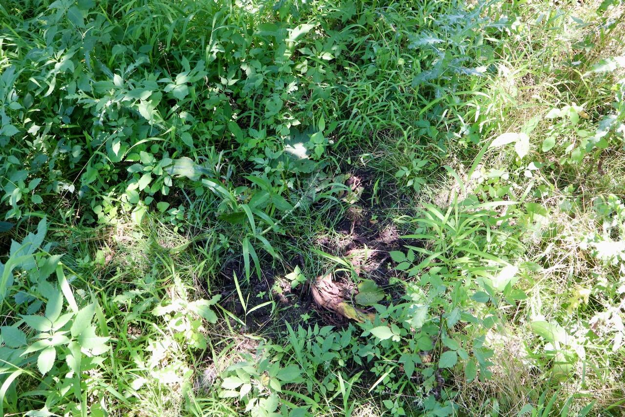 V/l N Scott Road Property Photo 31