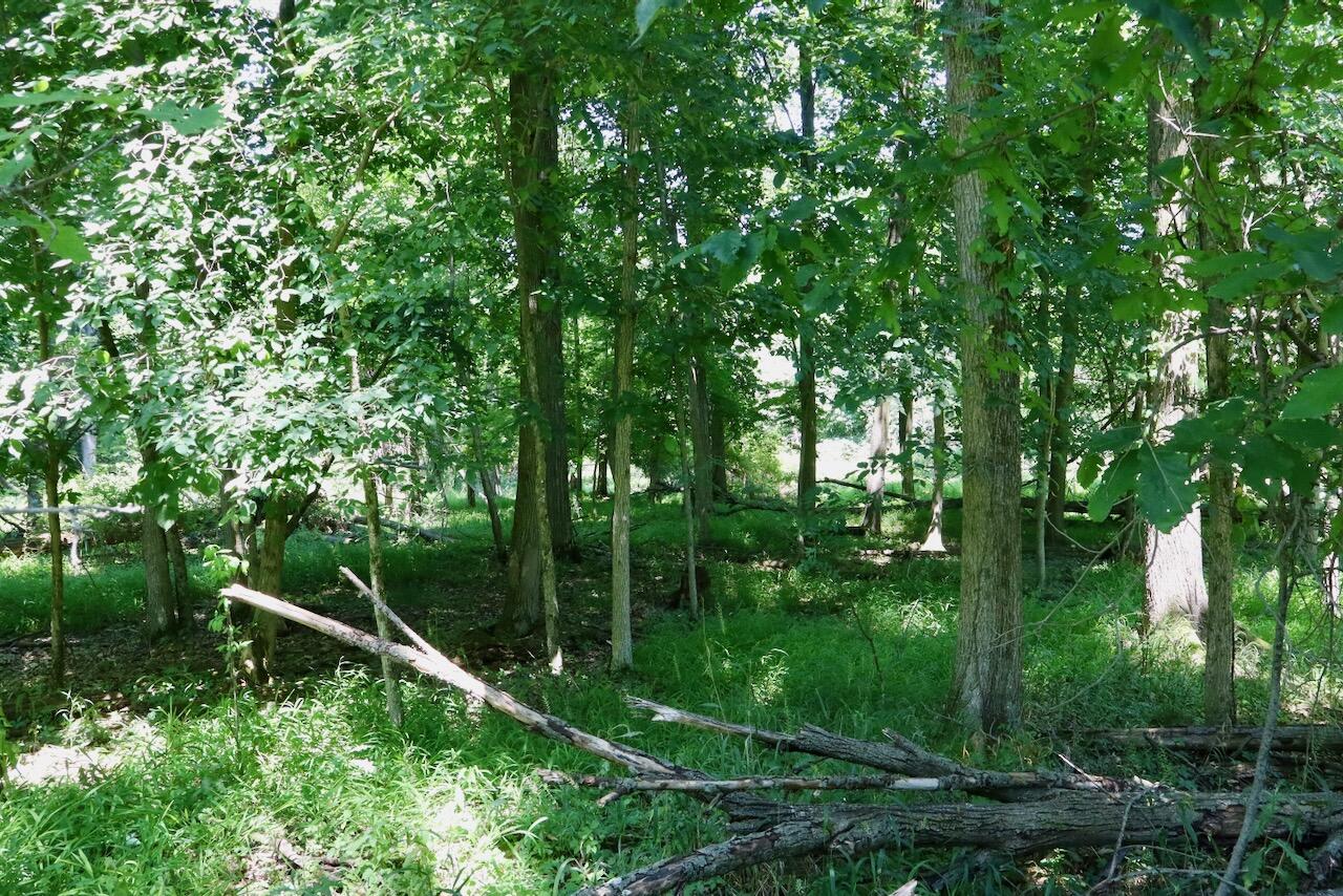 V/l N Scott Road Property Photo 35