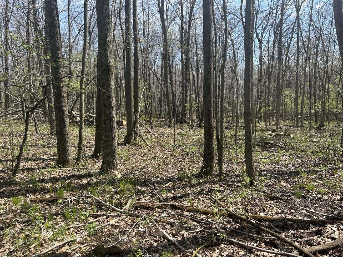Halfmoon Lake Rd. Property Photo 1