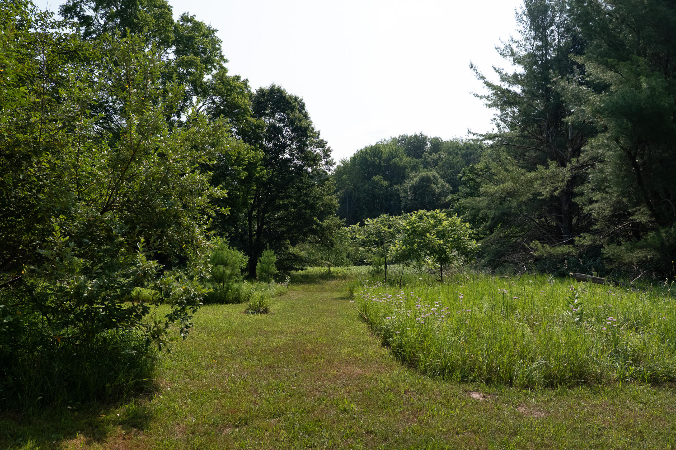 3820 N Beech Avenue Property Photo 24