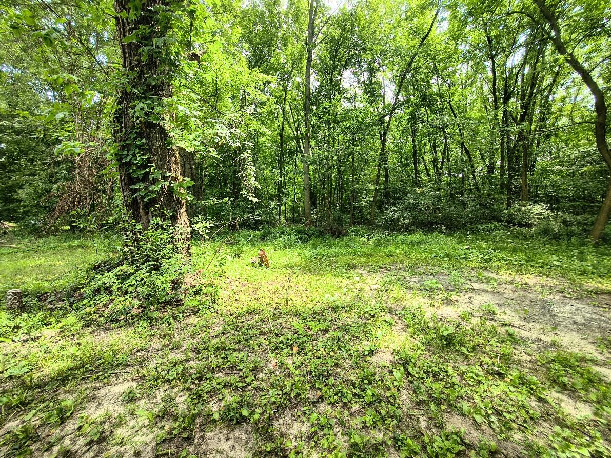 346 E 900 N Property Photo 5
