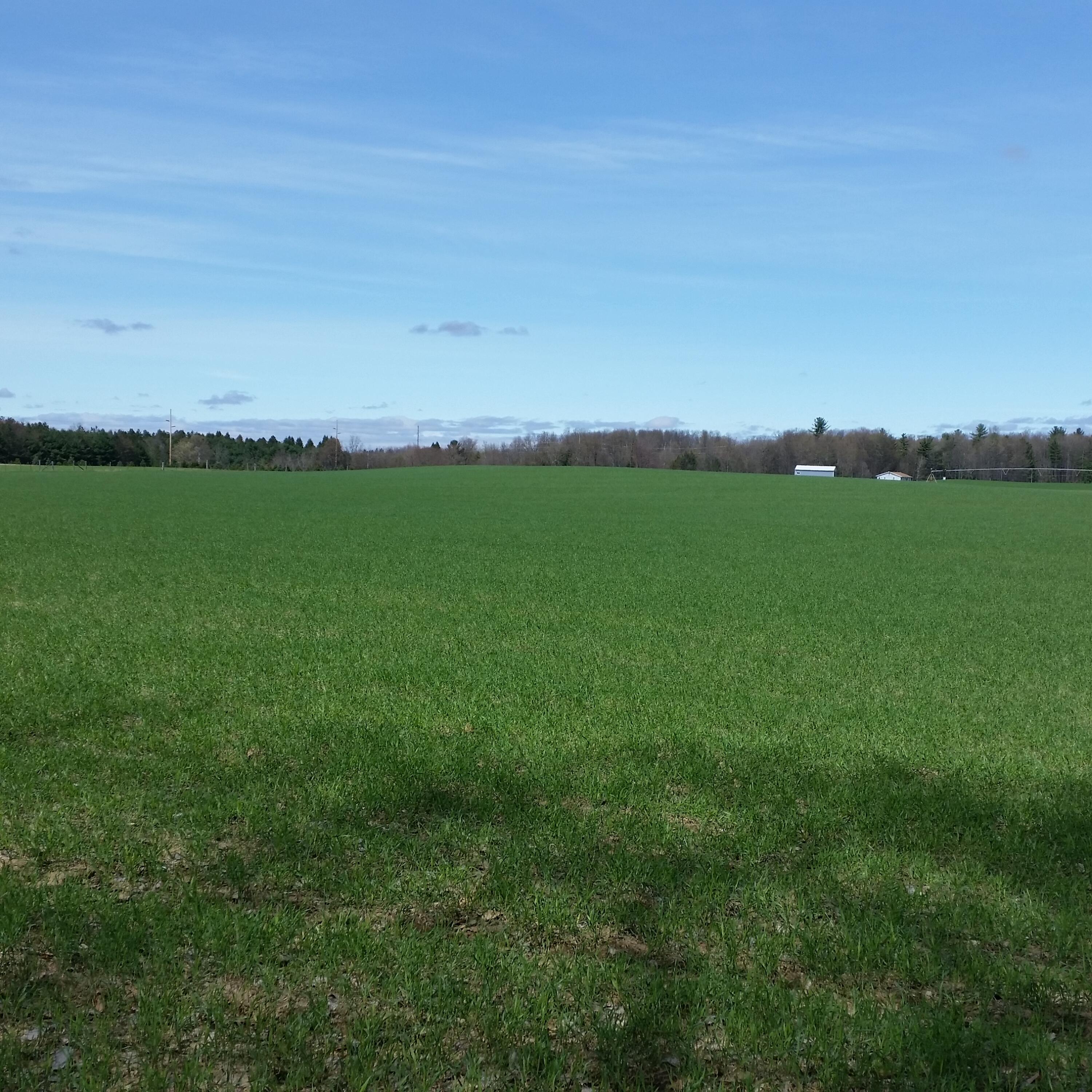 Johnson Road Property Photo 3